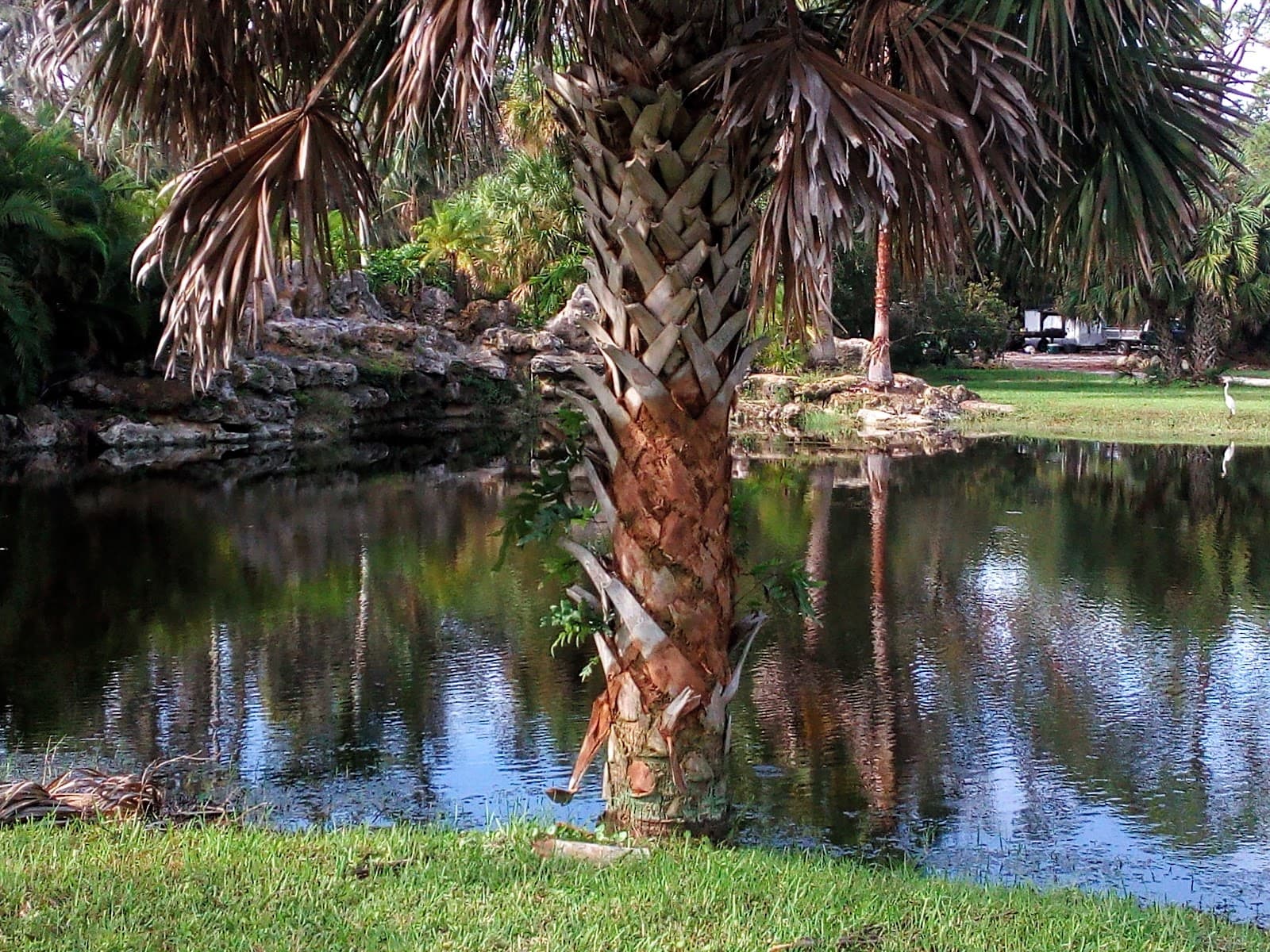 Snake Island - Image 1
