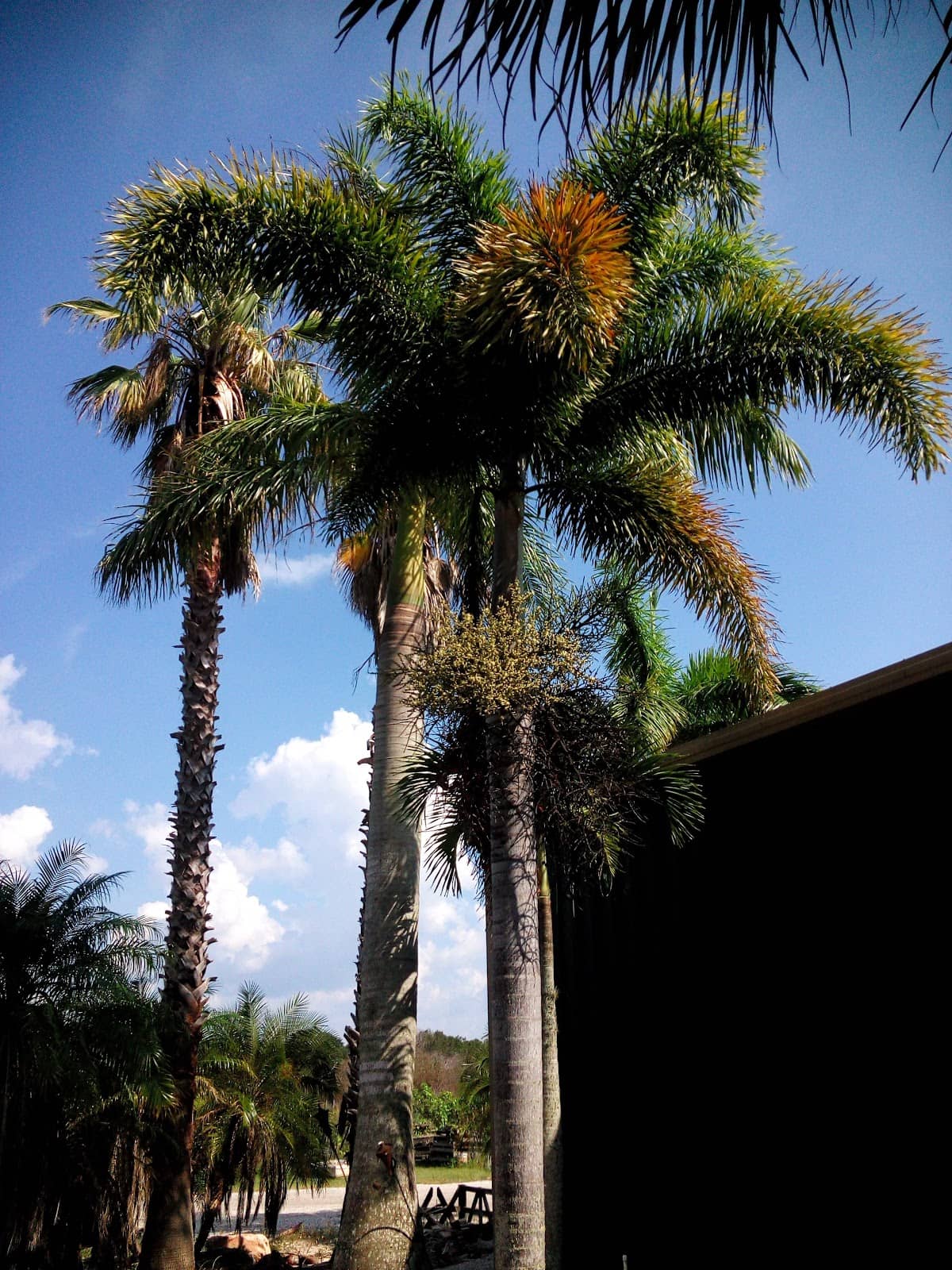 Vertical photo