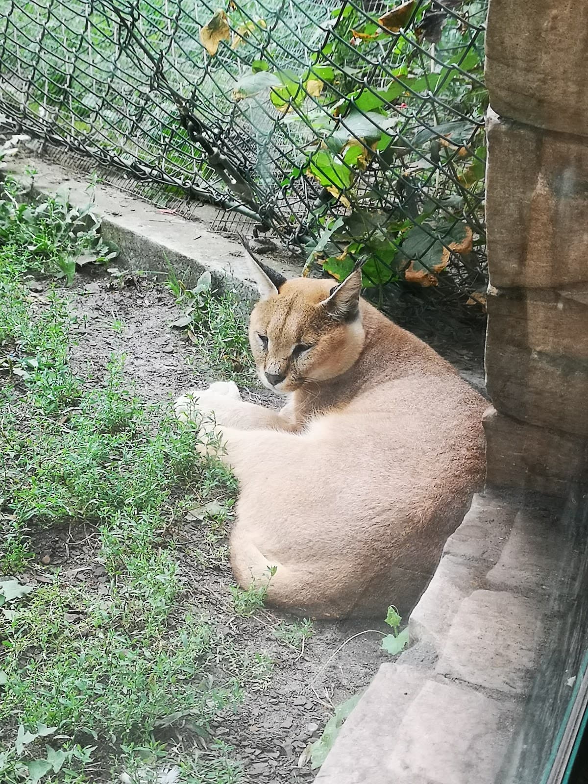 Zoo and Botanical Garden - Image 1