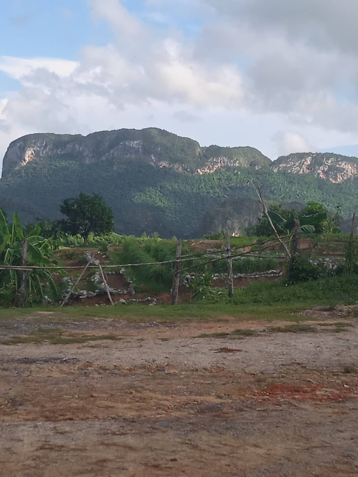 Scenic Horseback Riding
