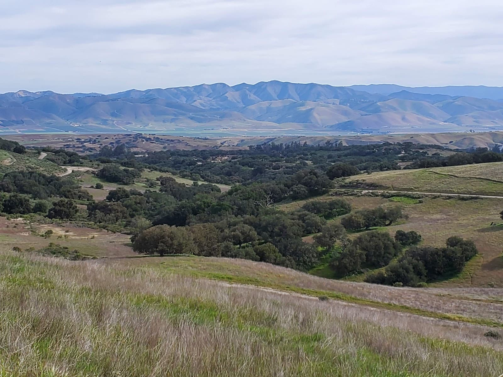 Los Flores Ranch Park Santa Maria California - Image 1