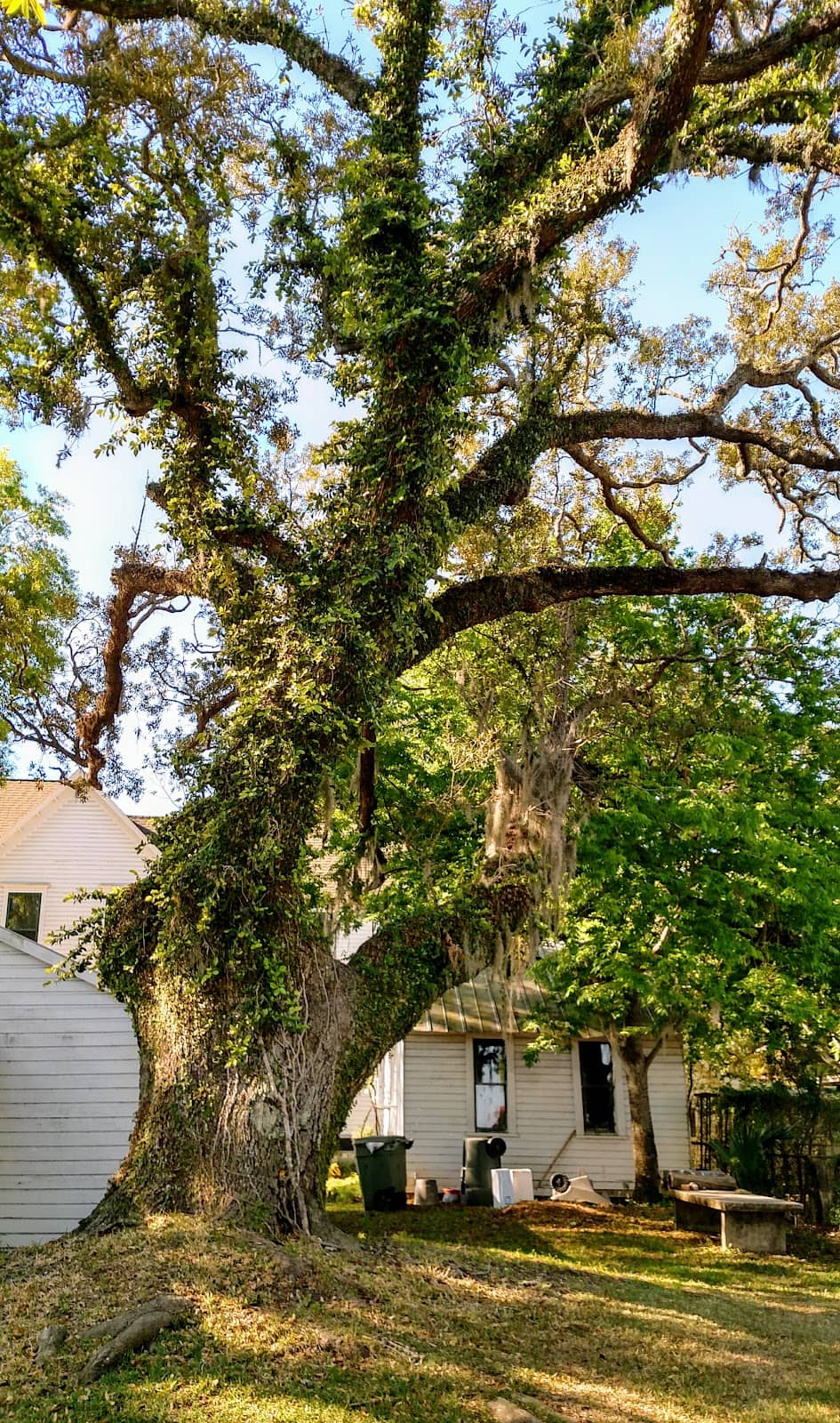 Vertical photo