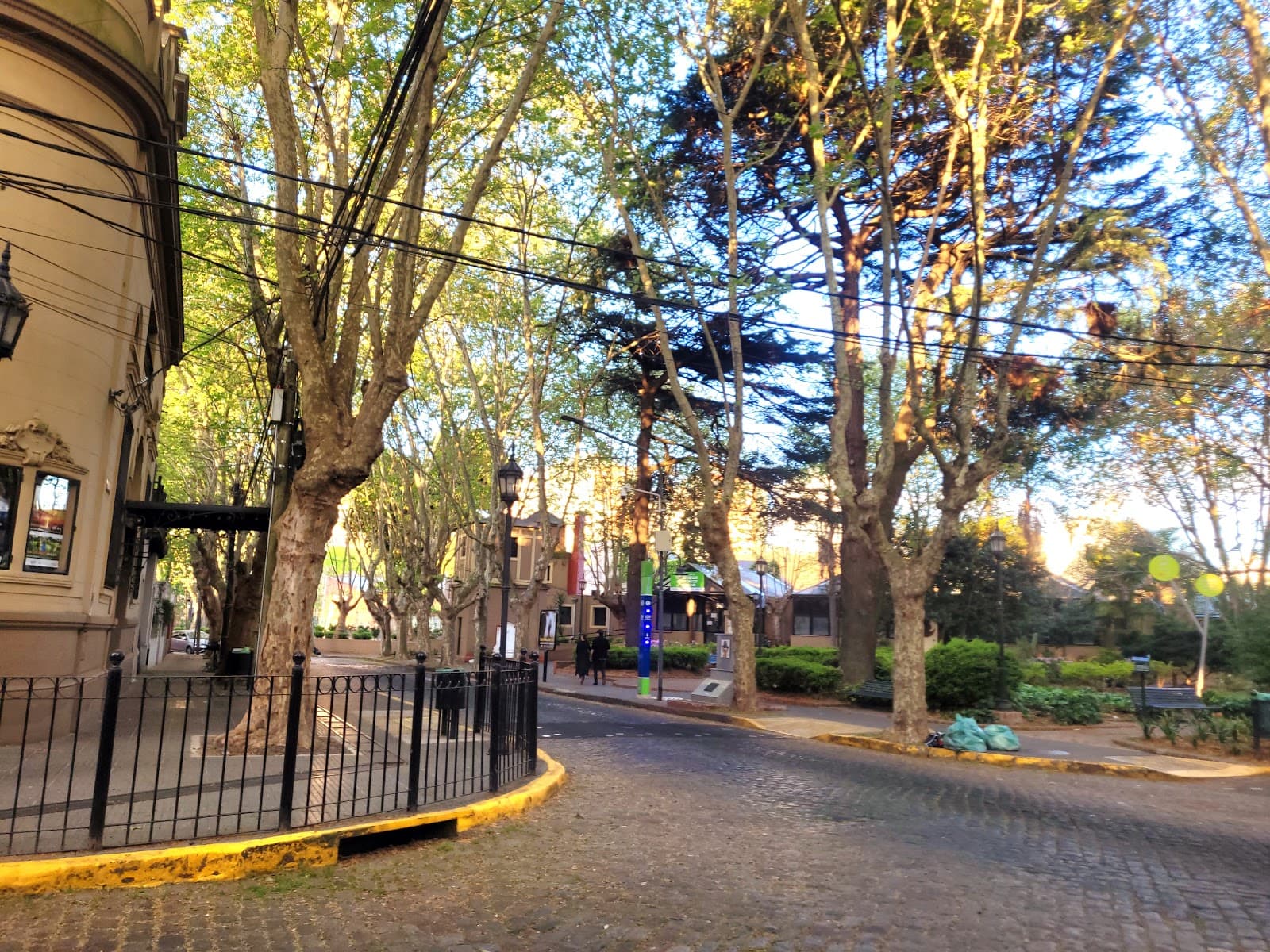 Olivos - Image 1