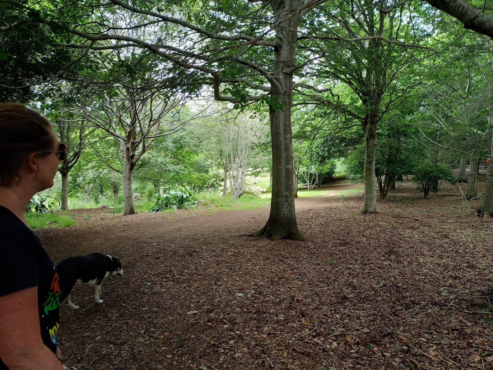 Roland’s Wood - Image 1