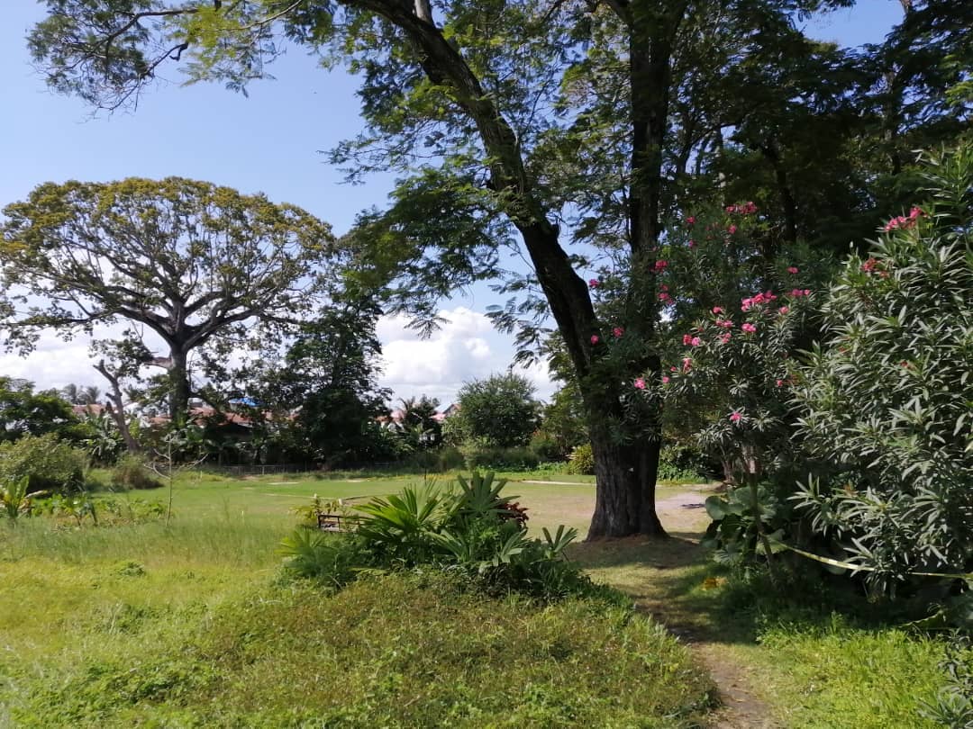 Urban Sanctuary