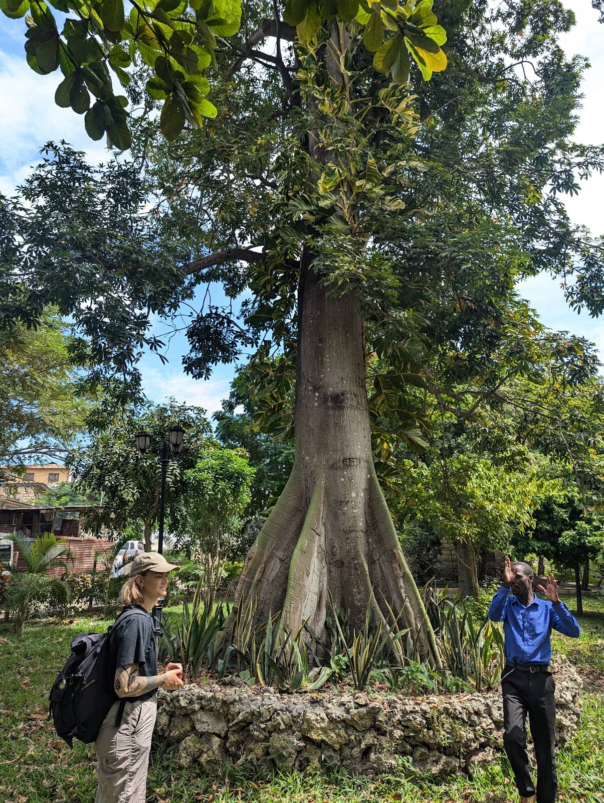 Vertical photo