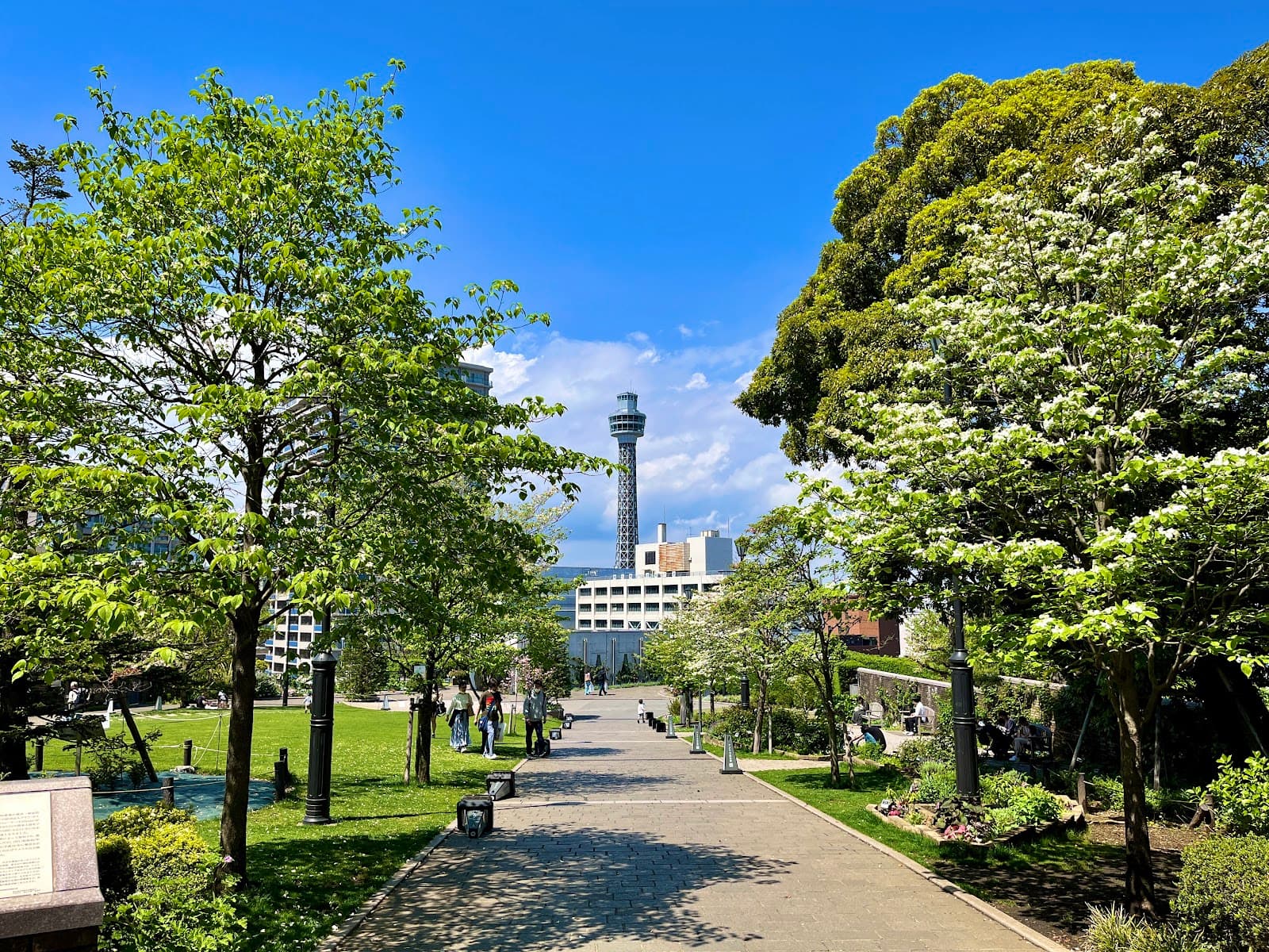 America-yama Park - Image 1