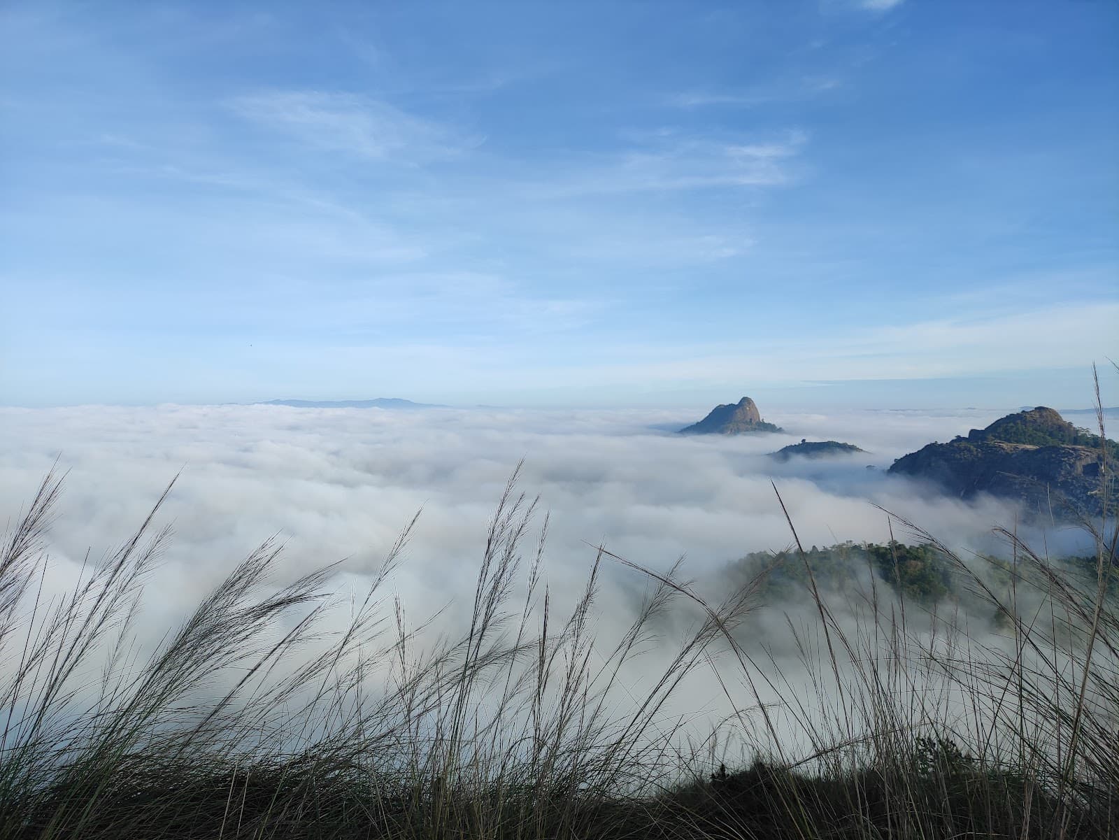 Cheengeri Mala Adventure Park - Image 1