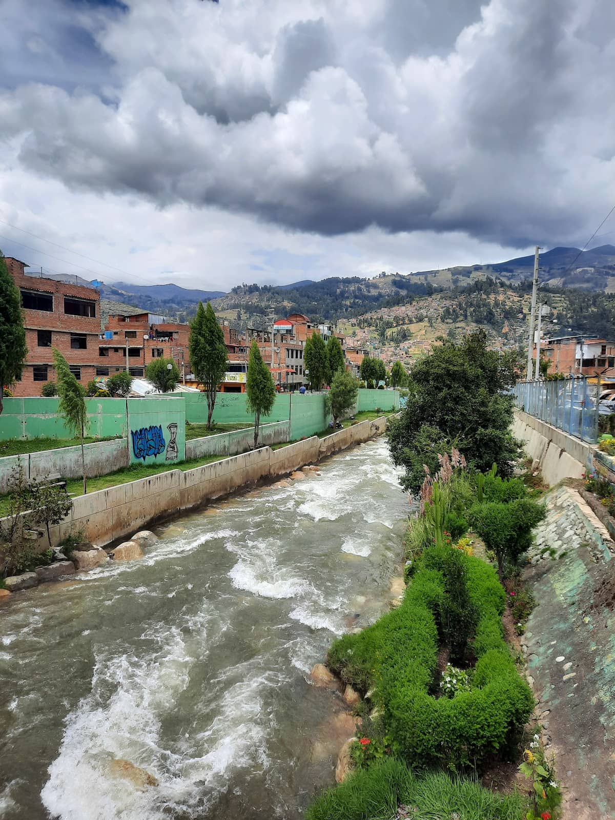 Andean Flora and Fauna