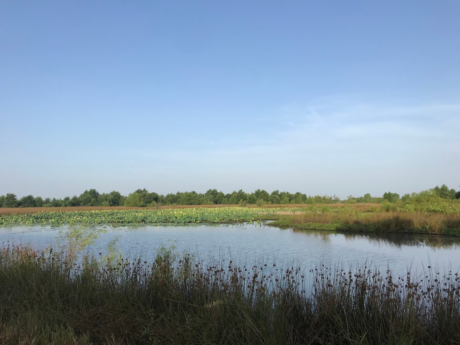 Red Slough Wildlife Management Area - Image 1