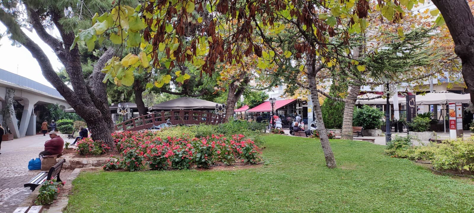 Local Dining Scene