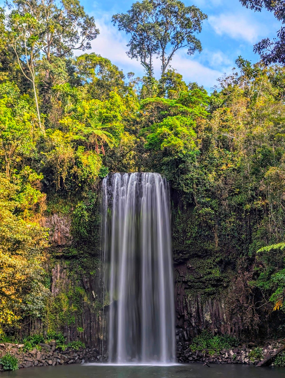 Millaa Millaa Falls - Image 1