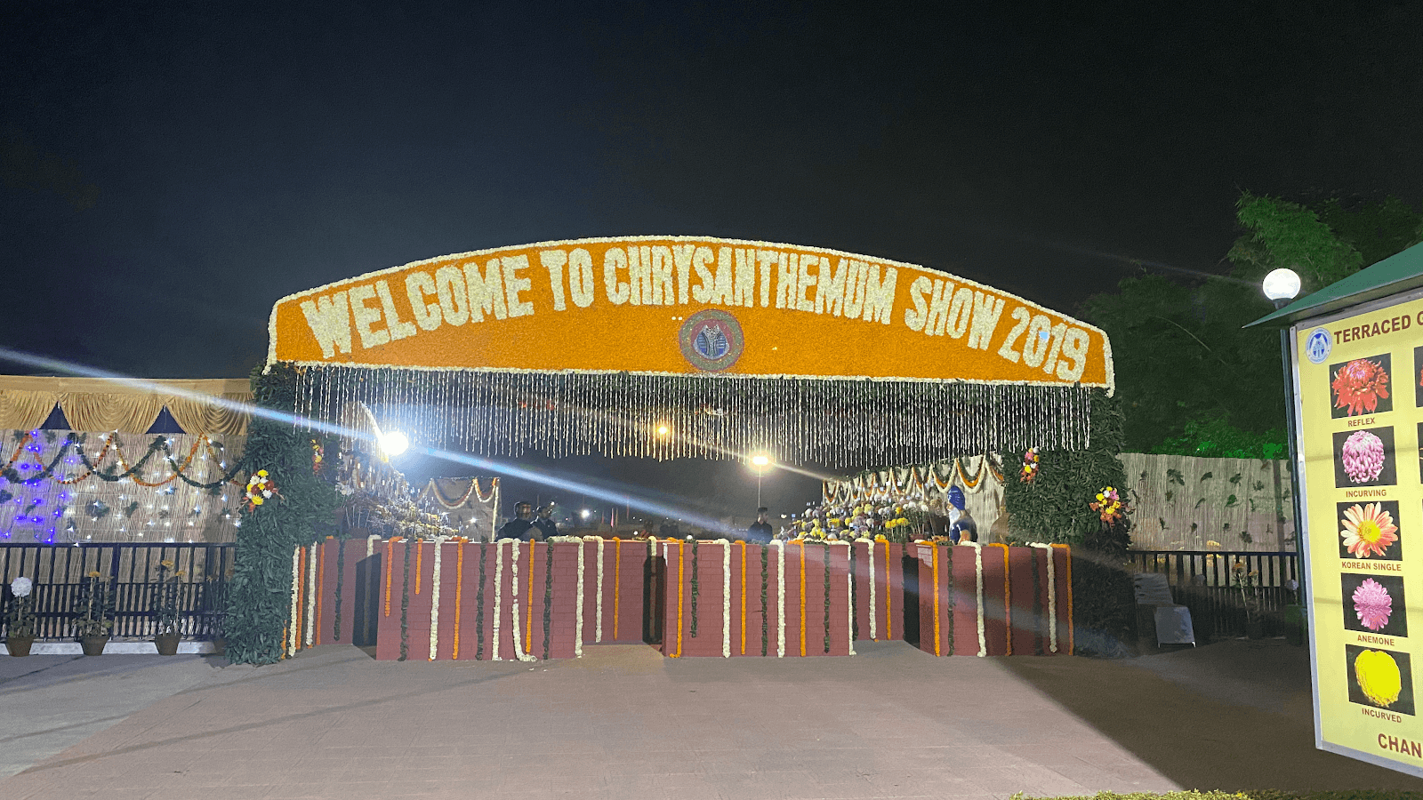 Lush Greenery and Walking Paths