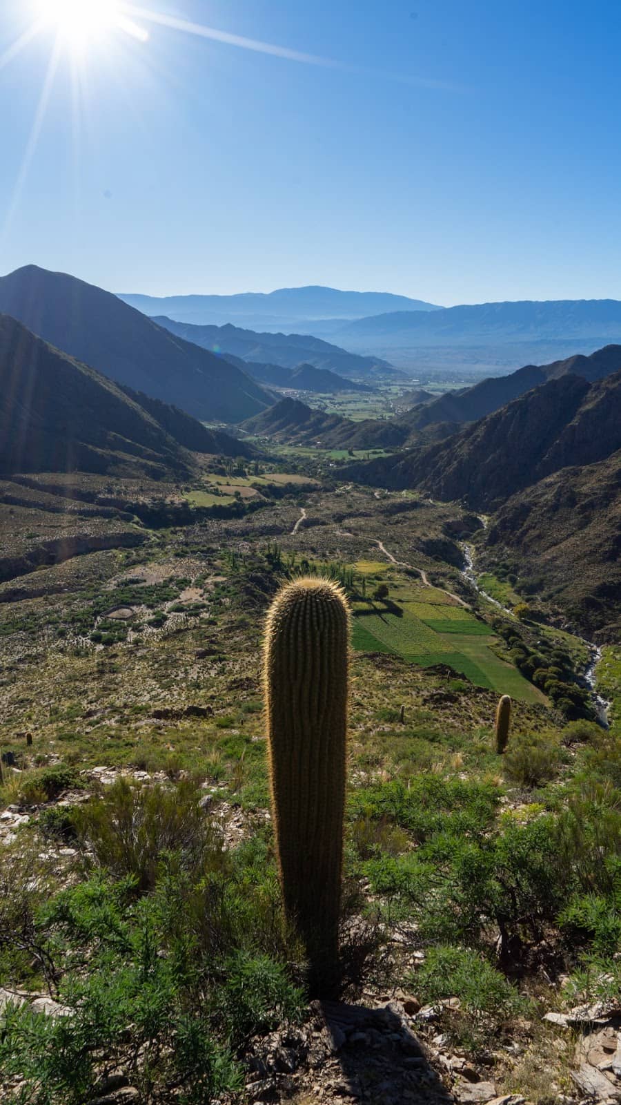 Scenic Mountain Trails