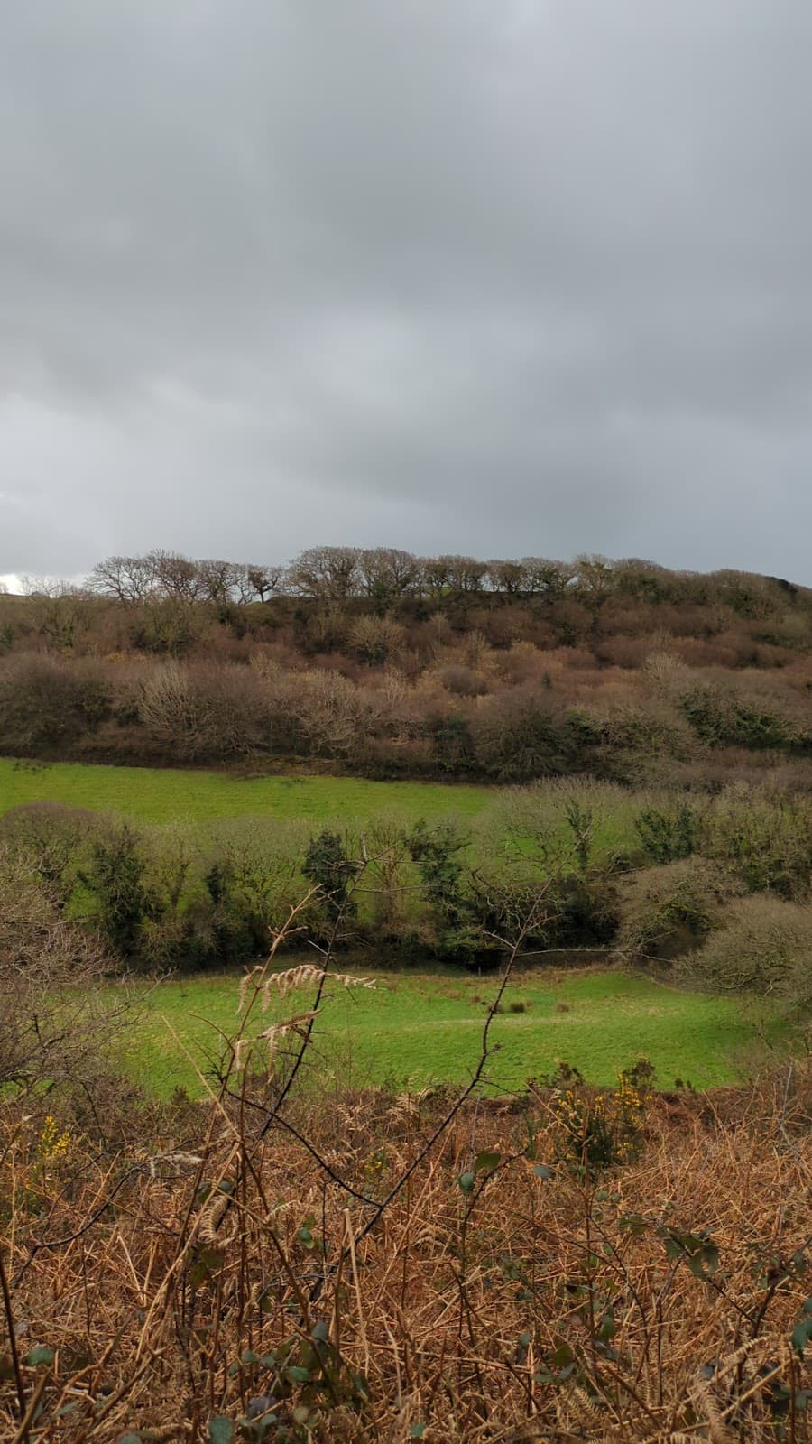 Penstowe Castle Earthworks - Image 1