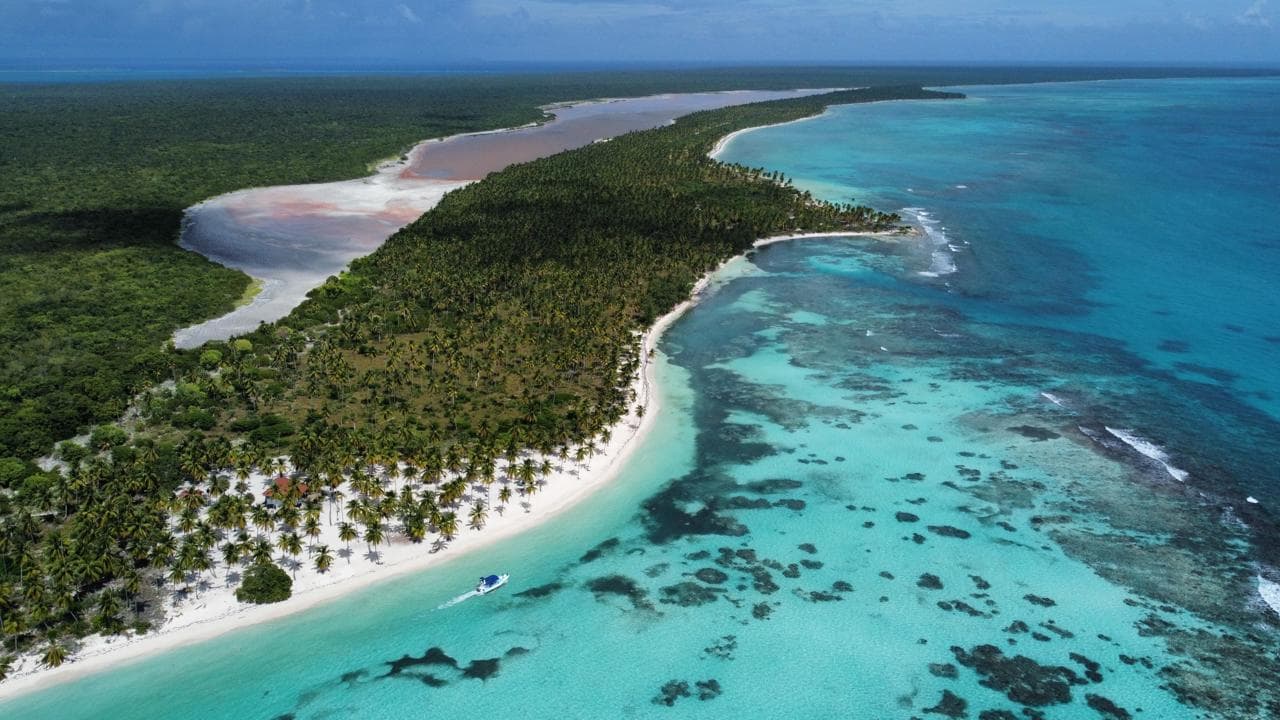 Canto de la Playa (Saona) - Image 1