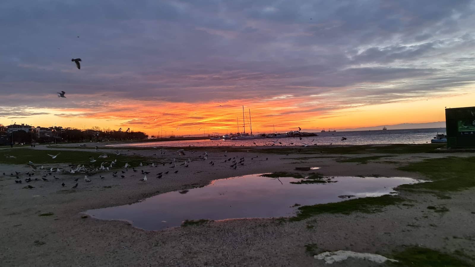 Atatürk Köşkü (Atatürk Mansion)