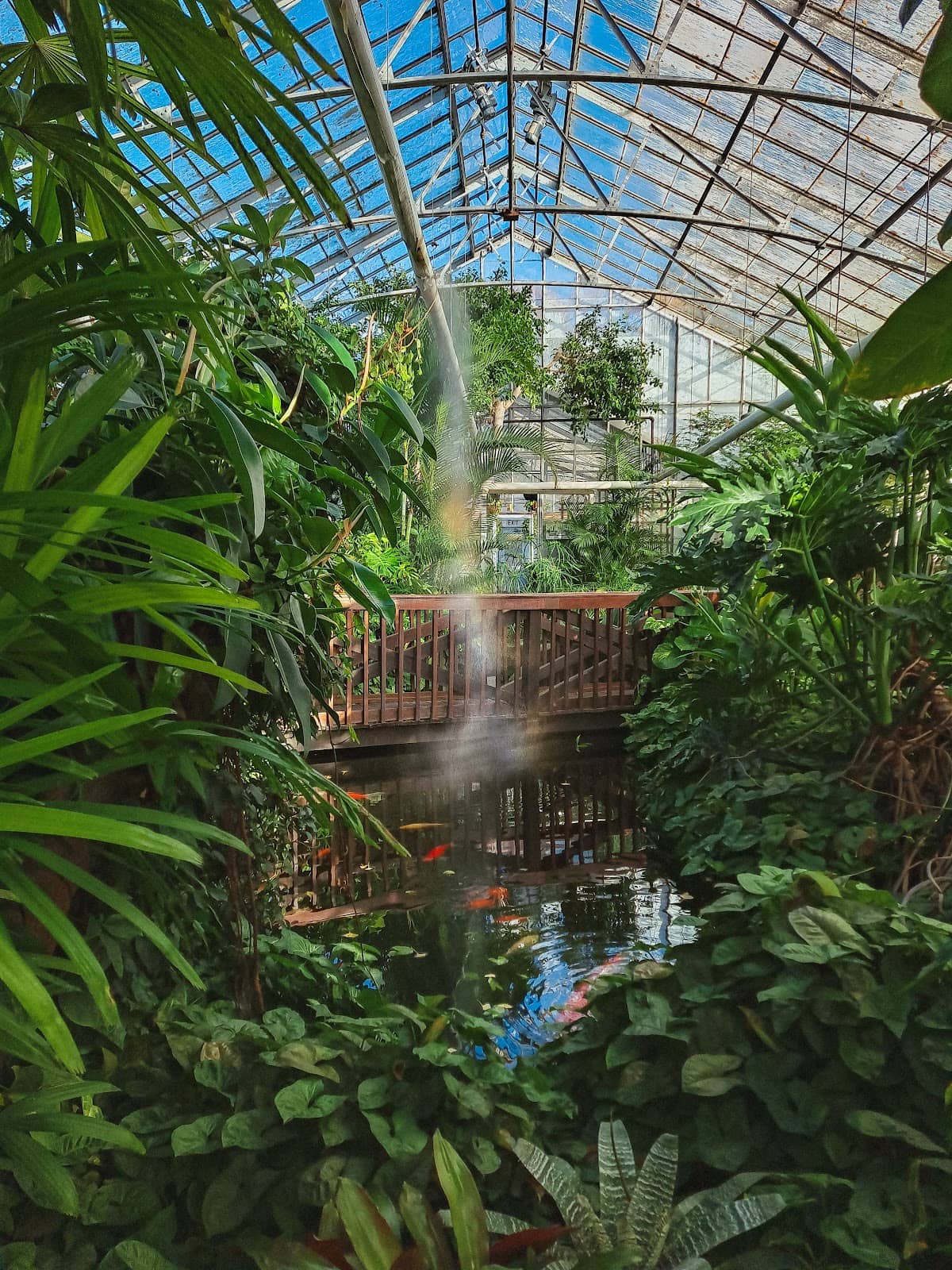 Diverse Plant Collections