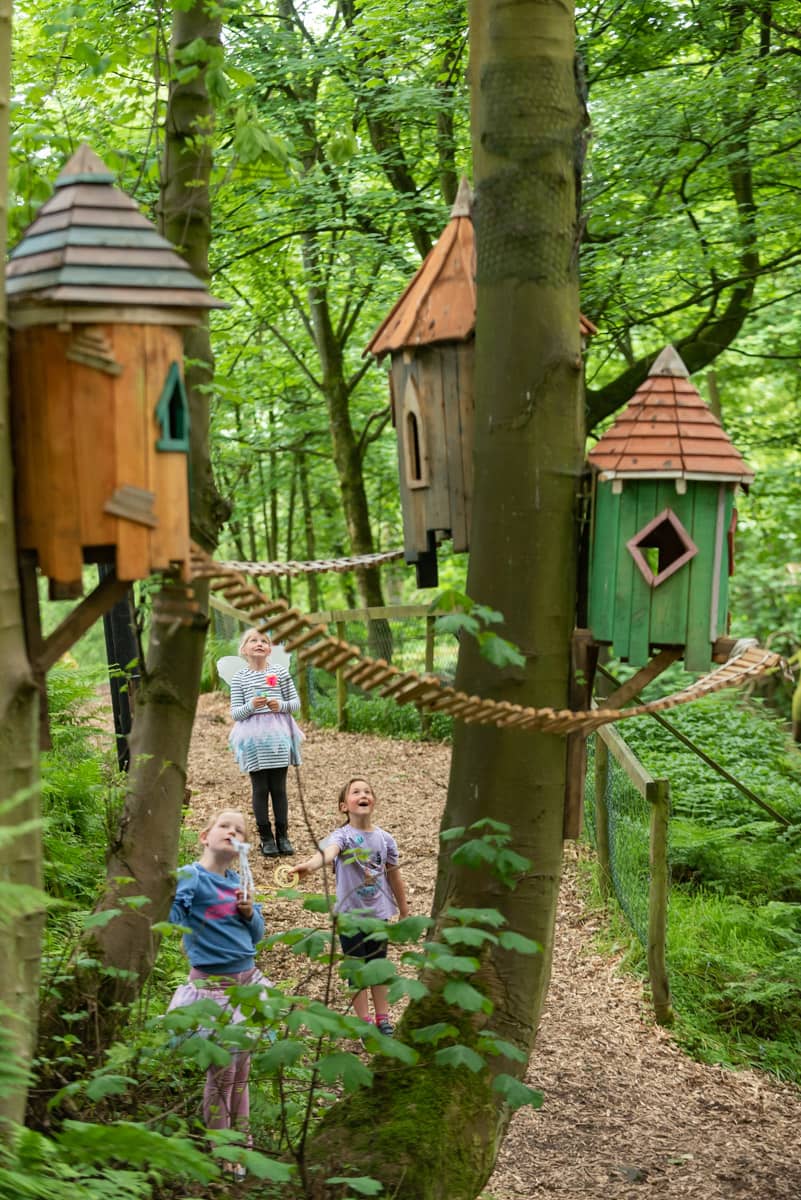 Themed Trails & Clues