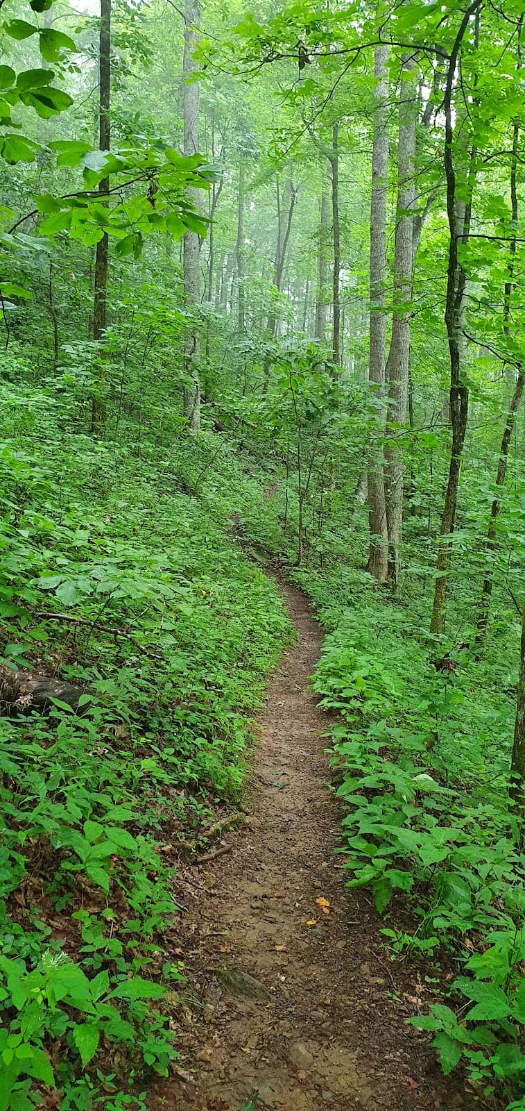Blood Mountain & Neel Gap