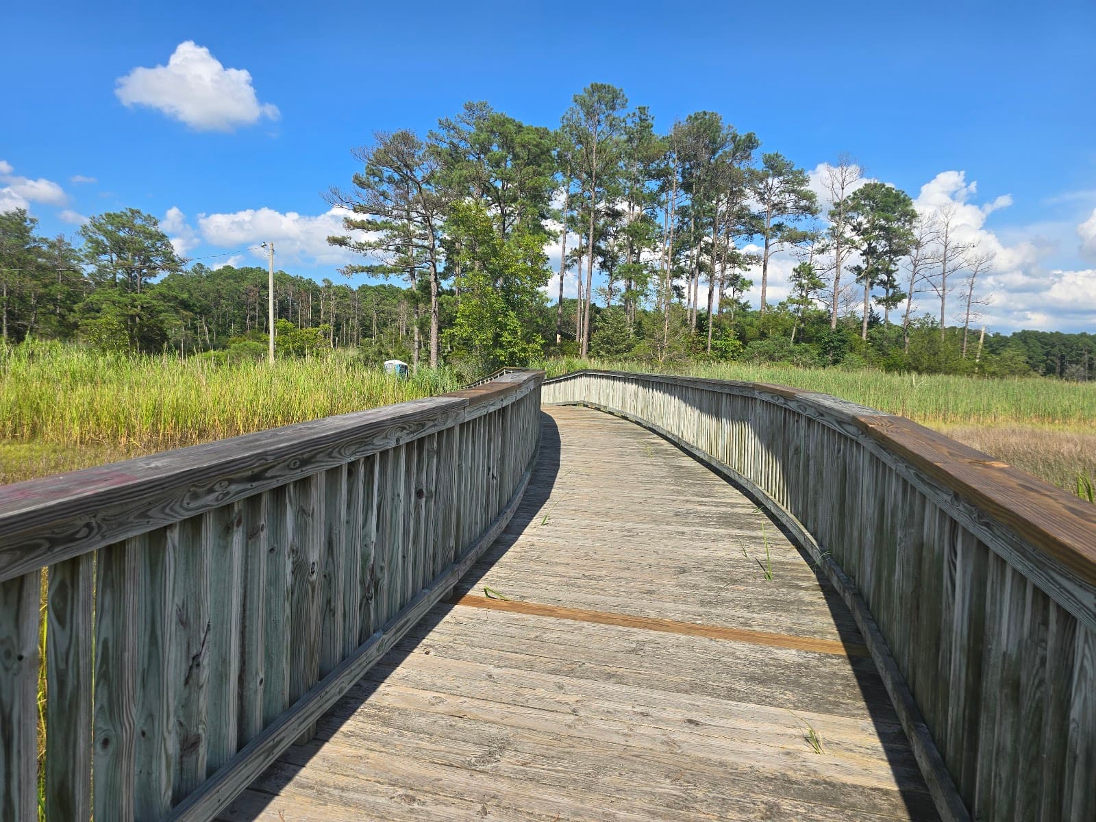 Denbigh Park - Image 1