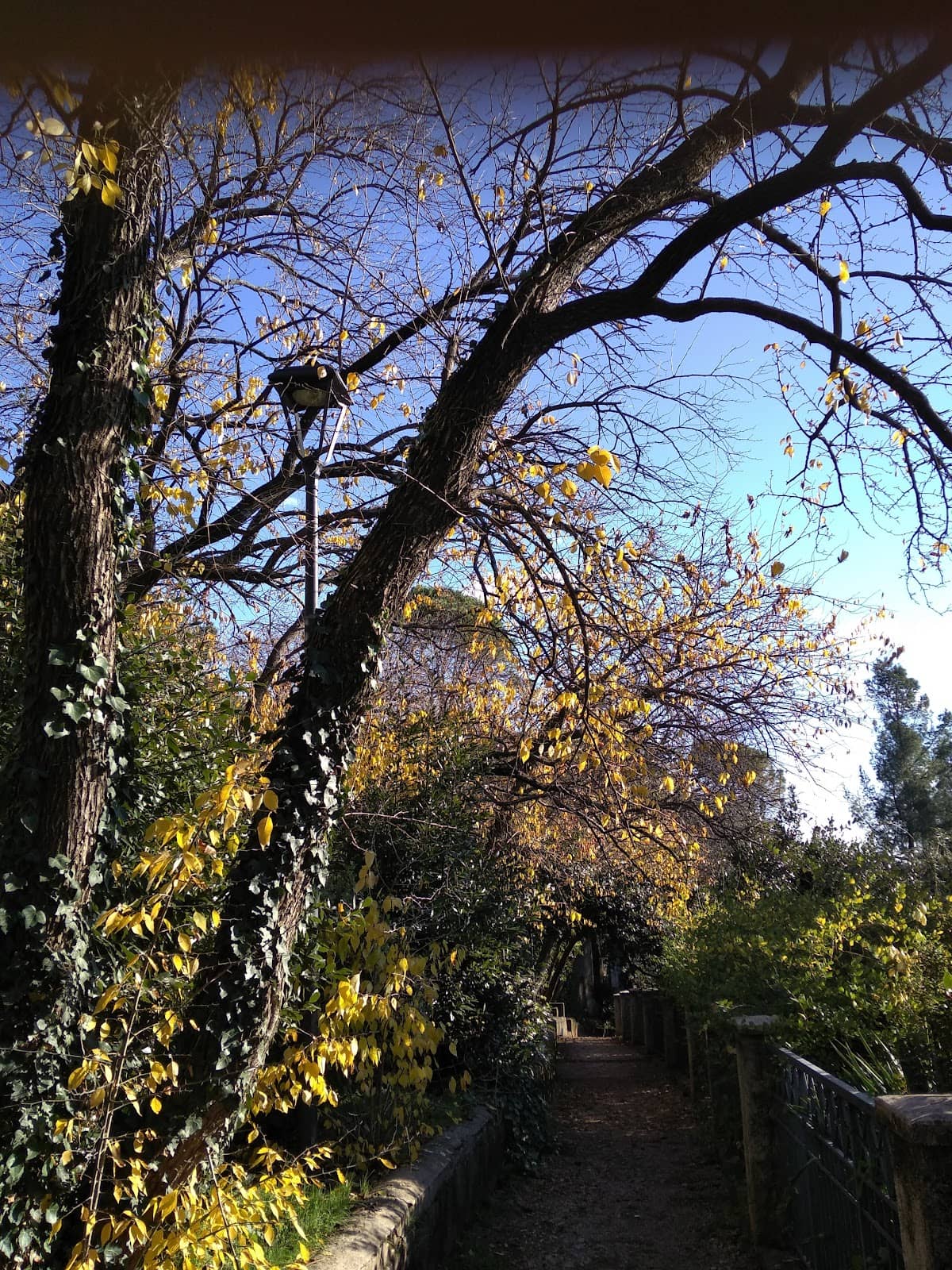 Vertical photo