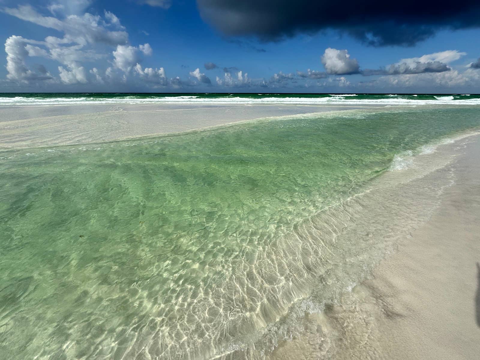 Scenic Views & Wildlife