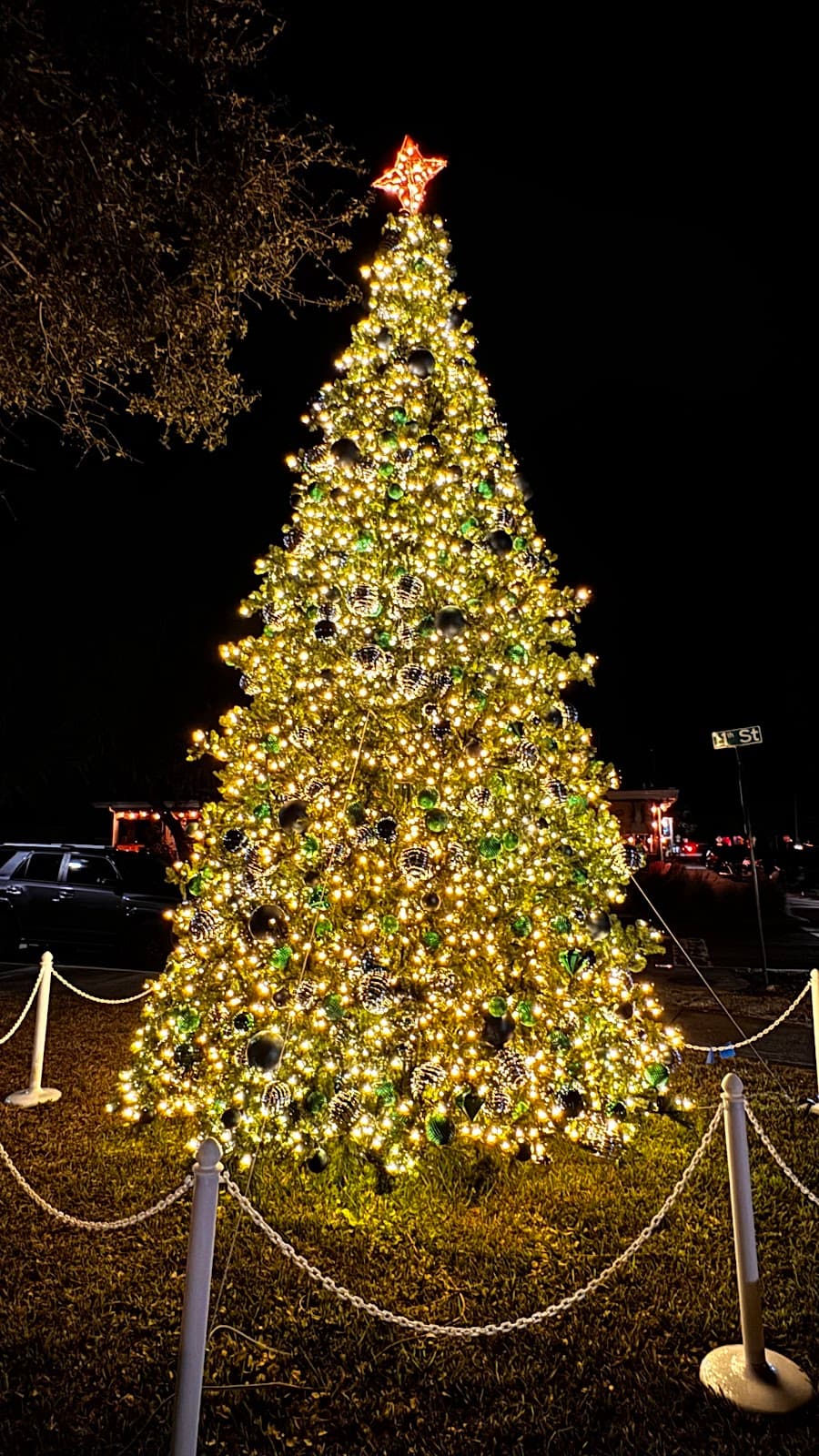 Old Palm Harbor Main St - Image 1