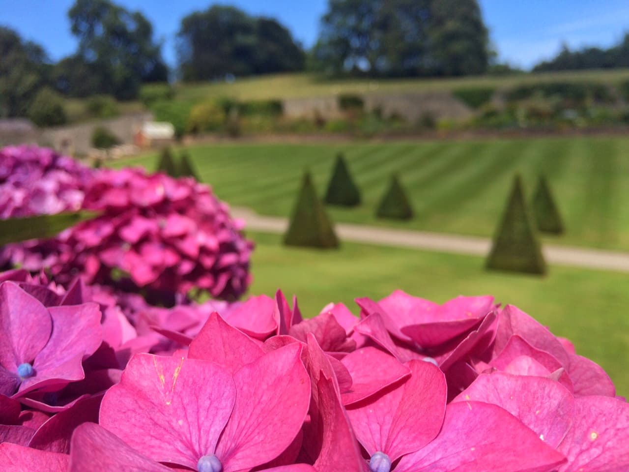 Plas Cadnant Hidden Gardens - Image 1
