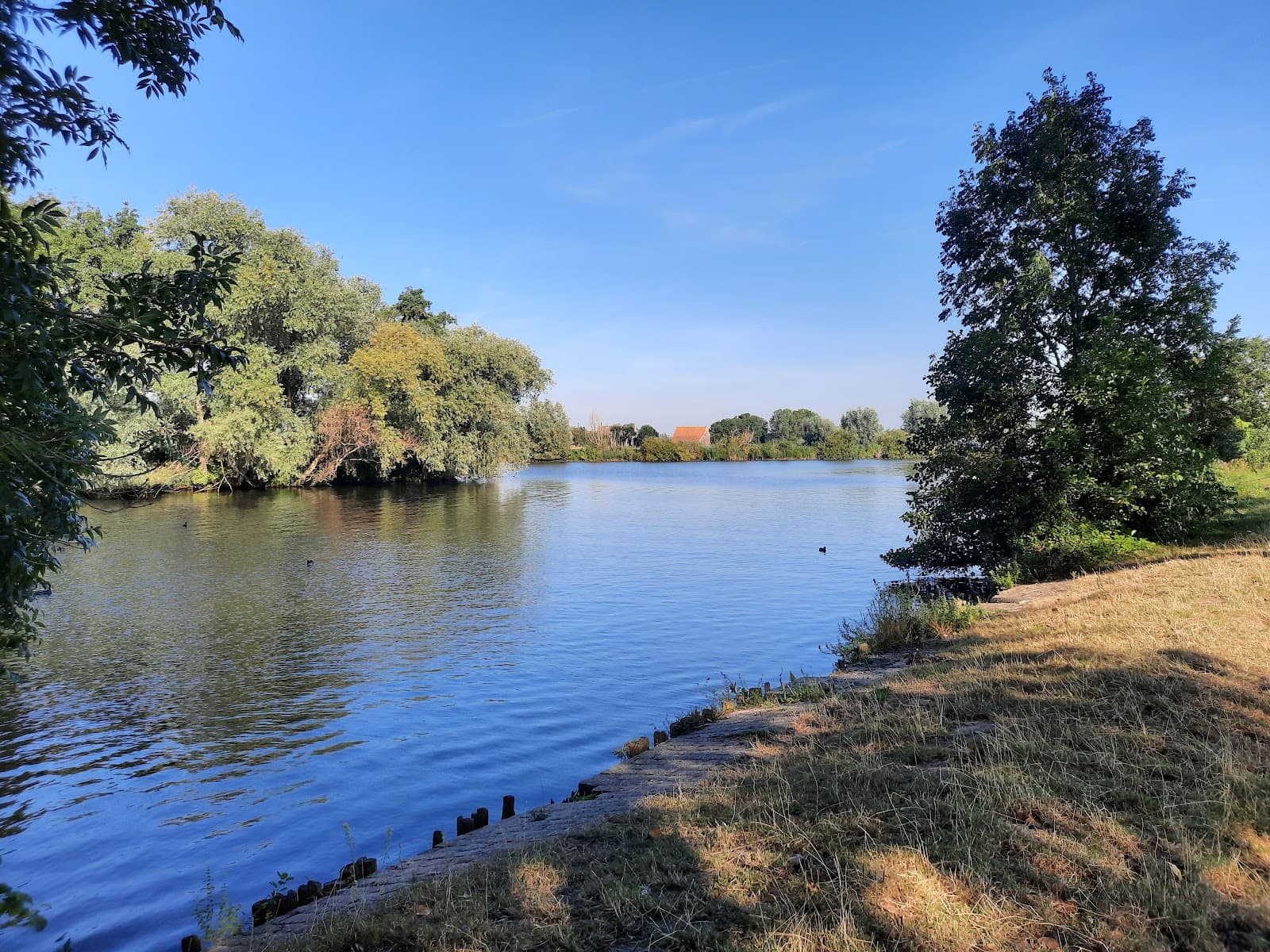 River Vecht - Image 1