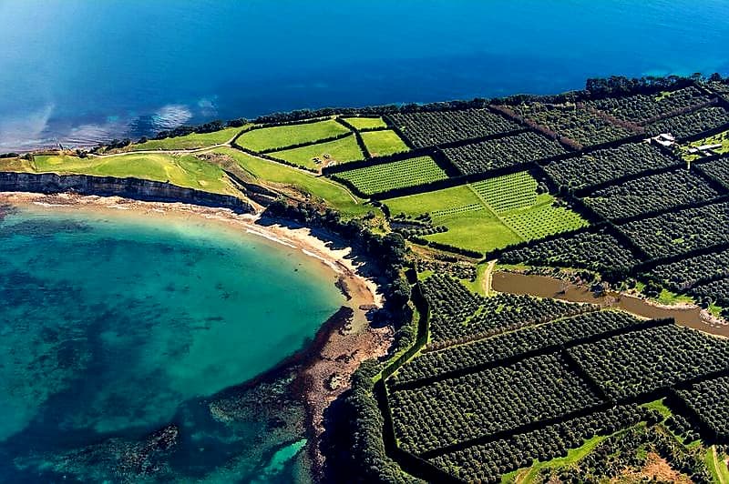 Motiti Island - Image 1