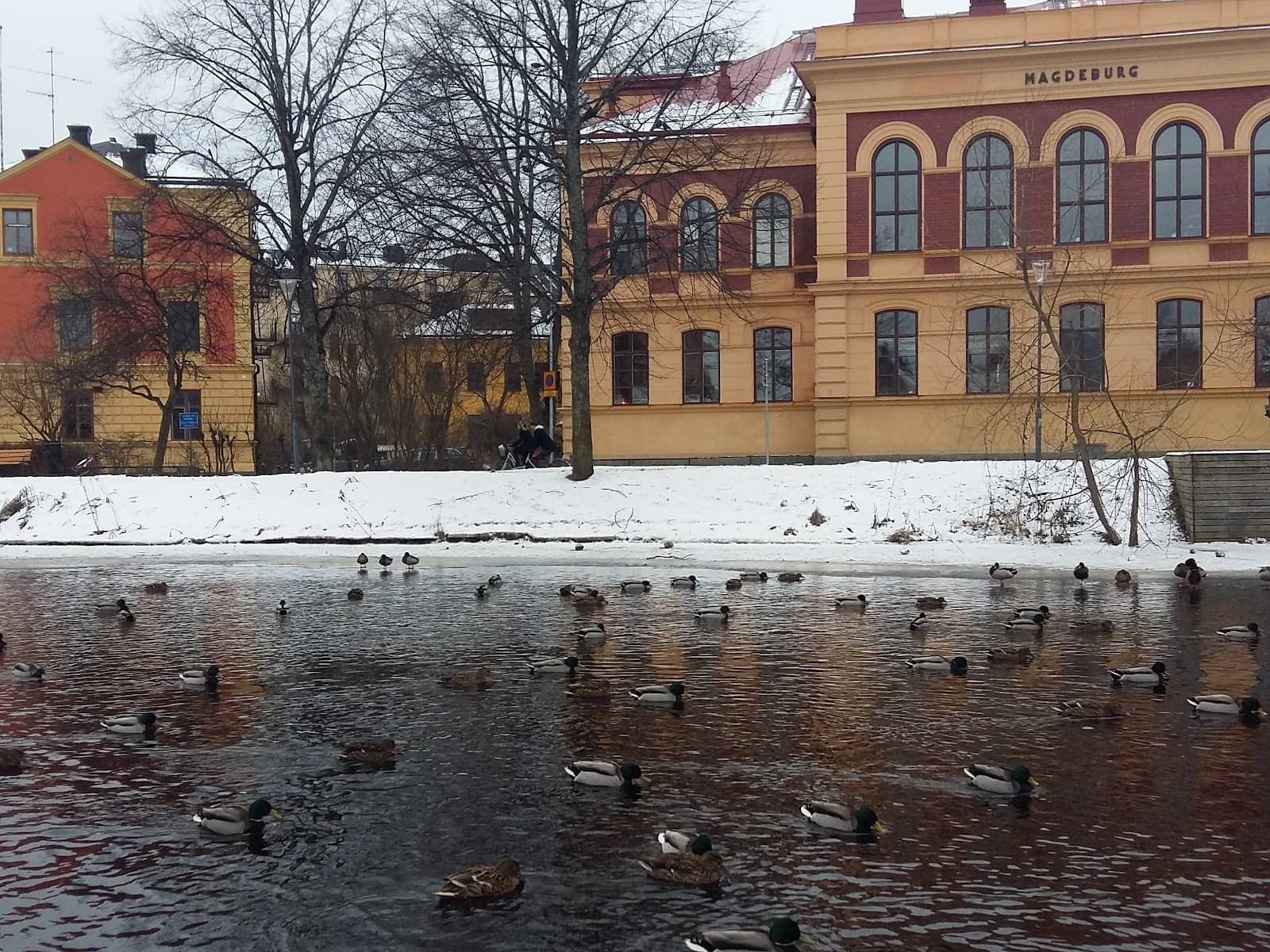 Fyrisån Riverfront