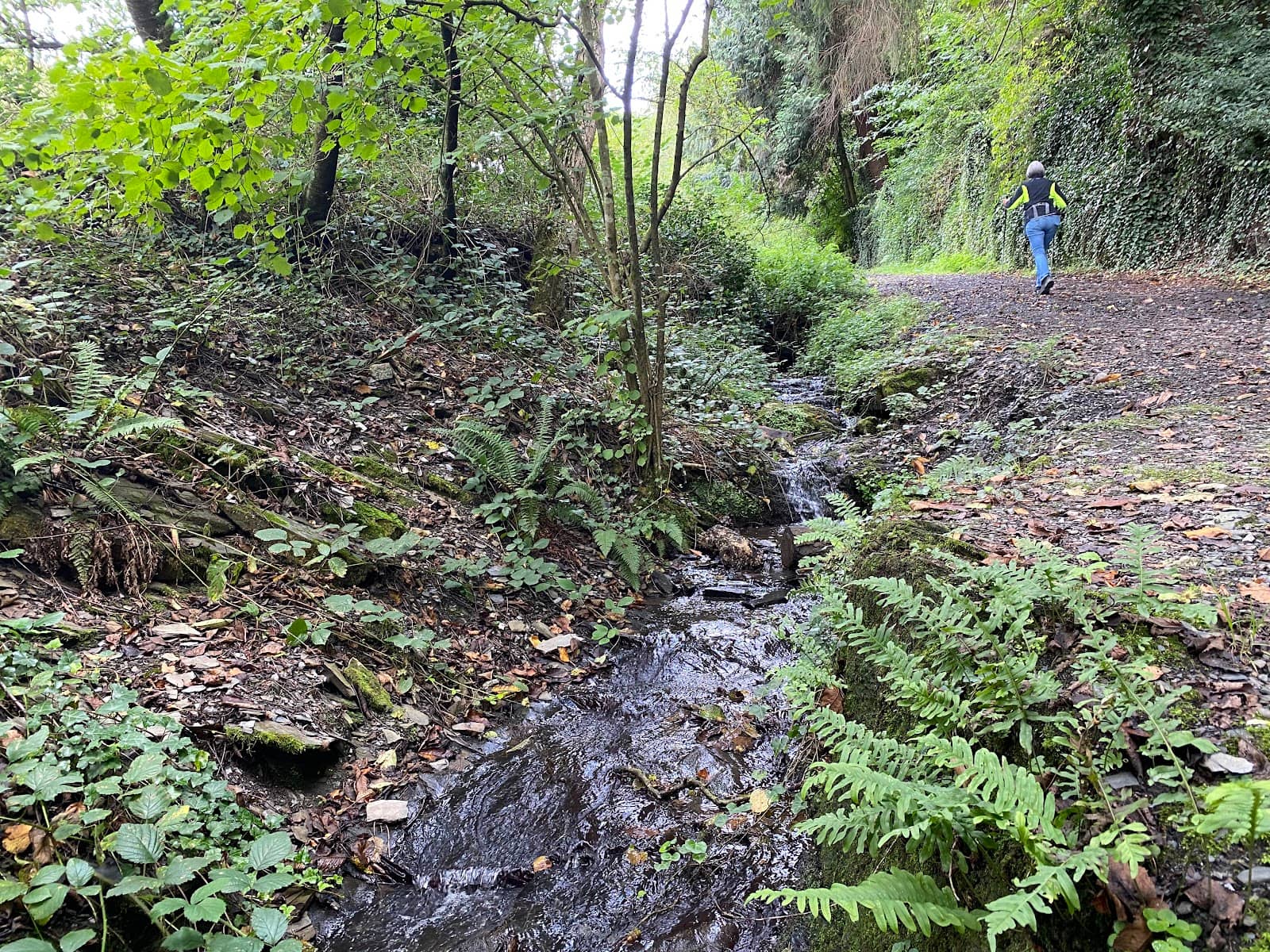 Barefoot Walking Path