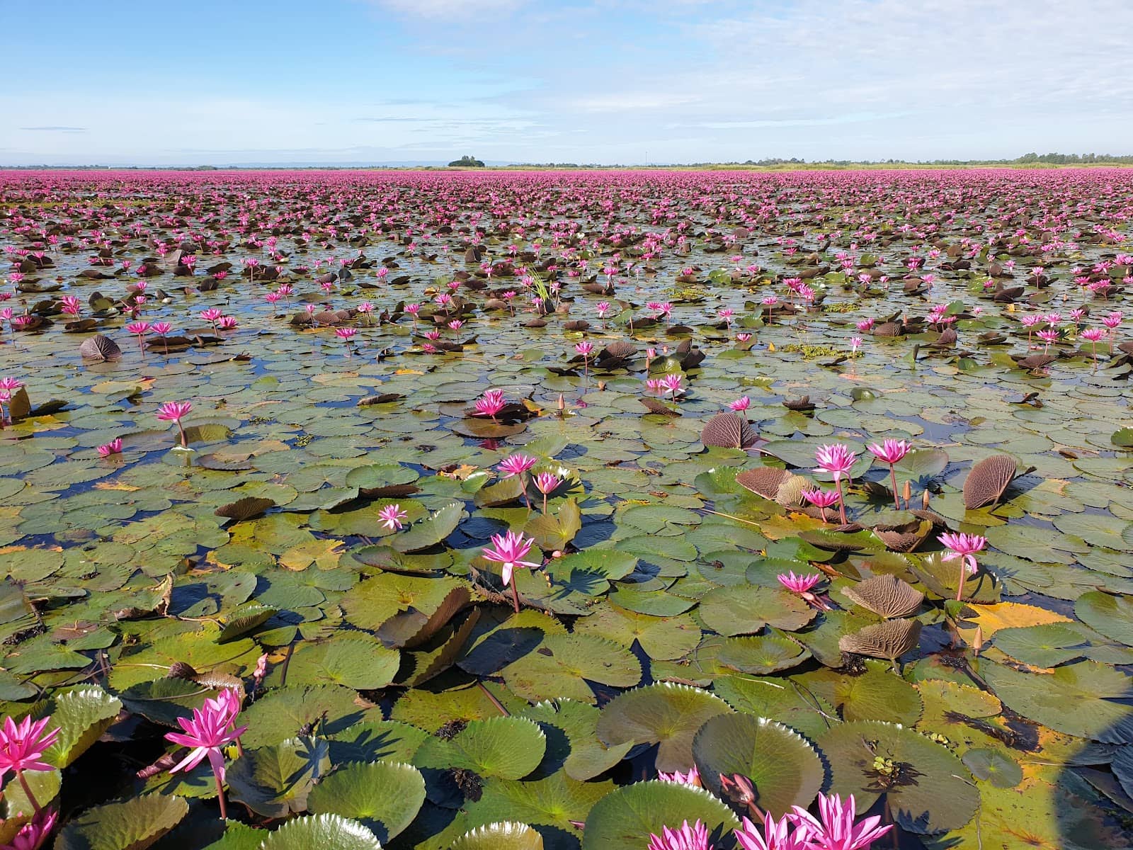 Tranquil Boat Ride