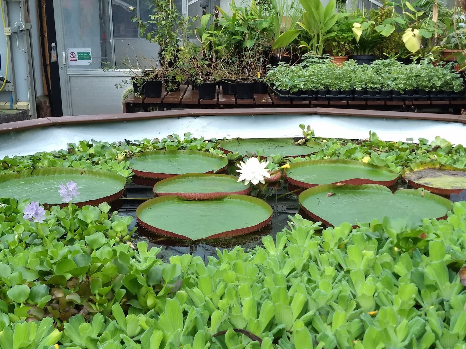 Durham University Botanic Garden - Image 1