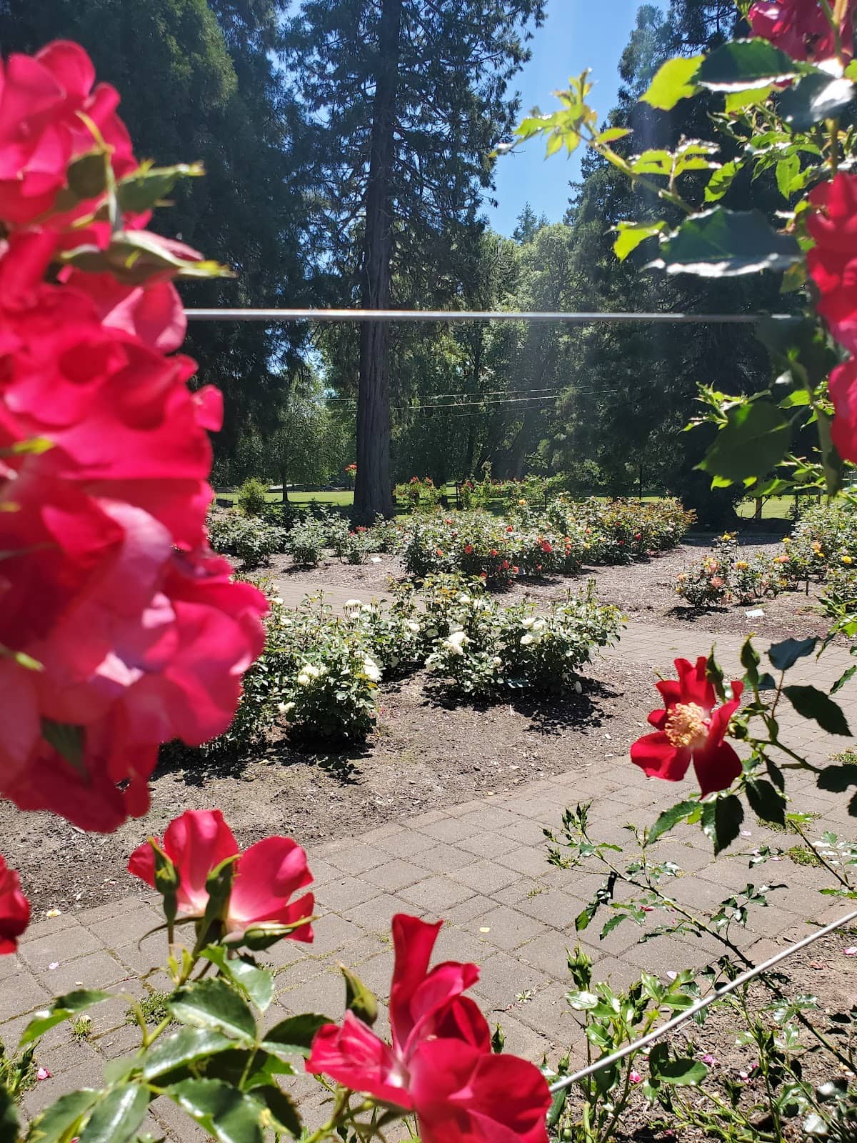 Peaceful Walking Paths