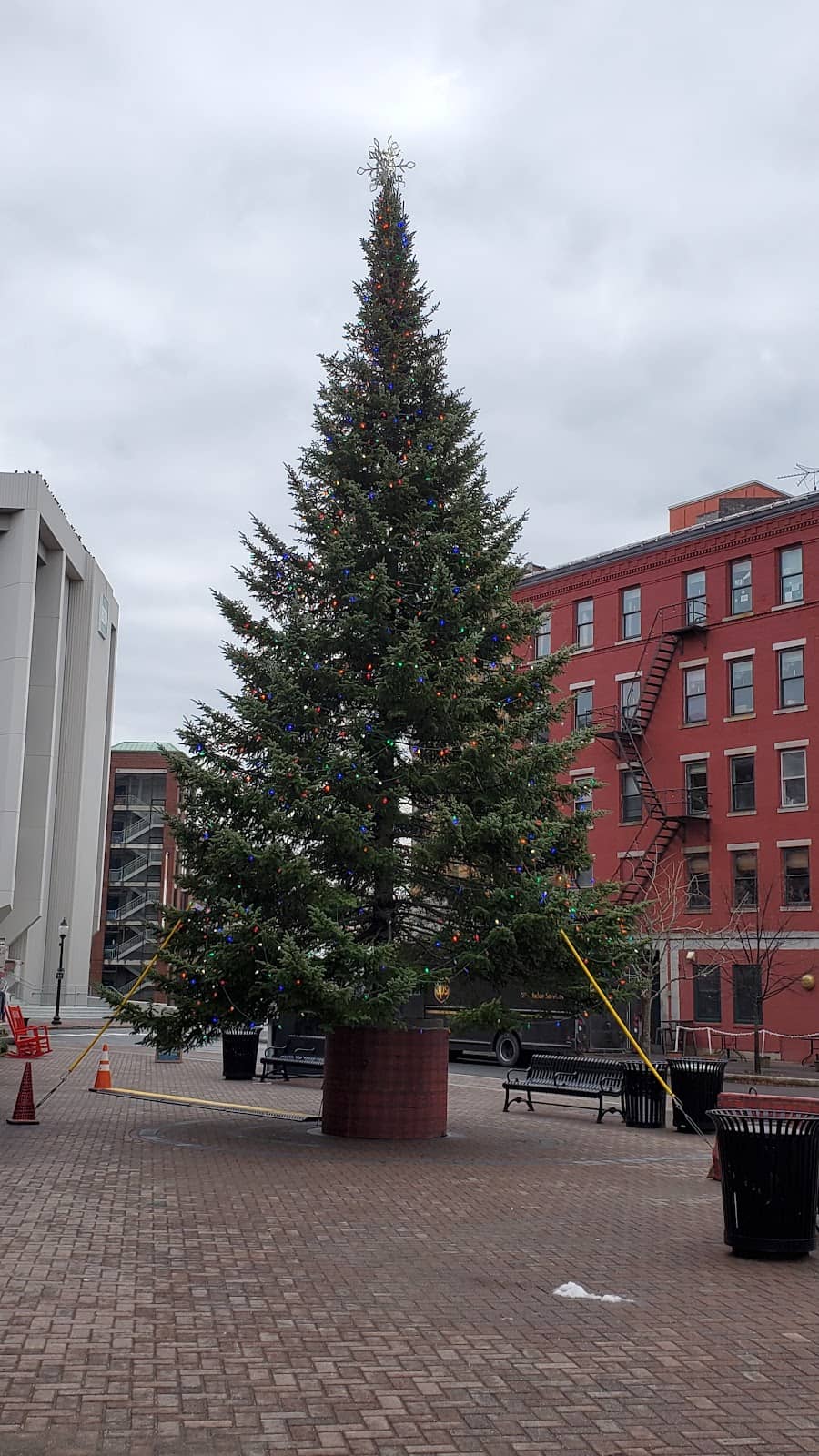 Holiday Tree Lighting