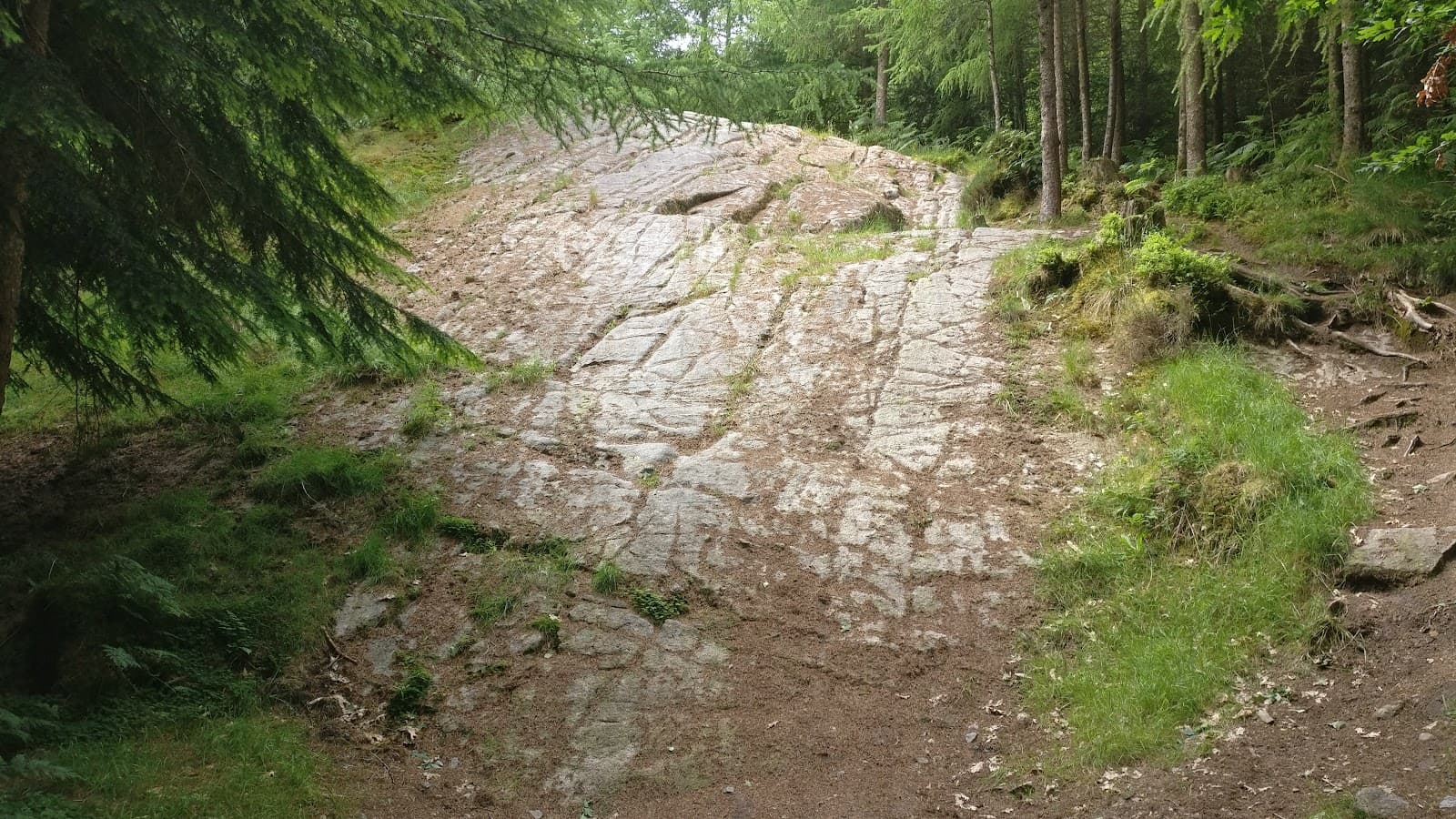 Dalbeattie Forest (7stanes) - Image 1