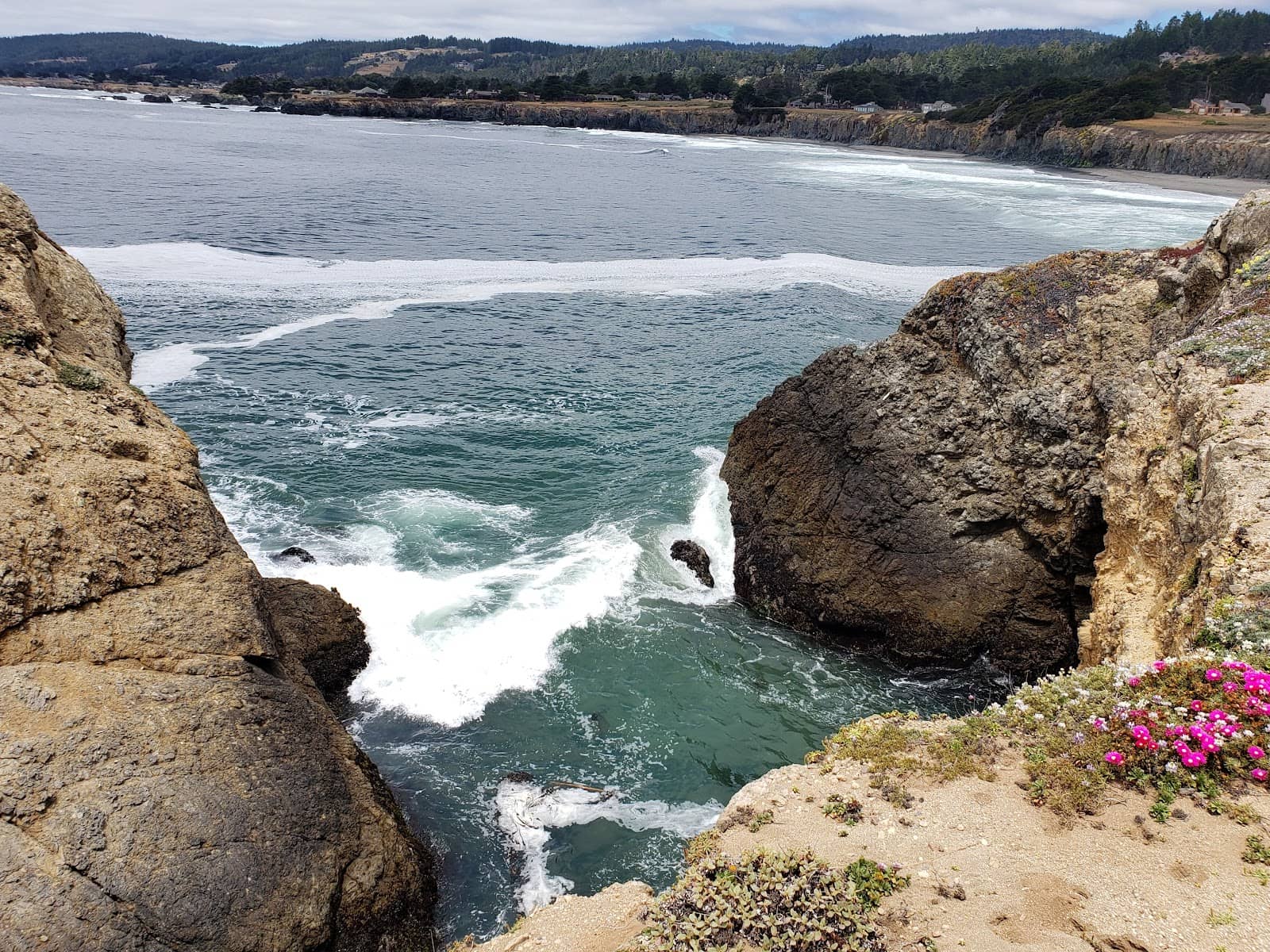 Whale Watching Opportunities