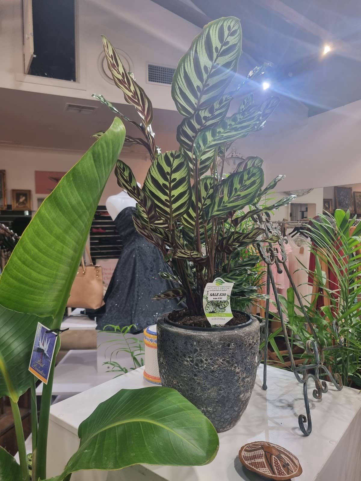 Unique Boutique Finds