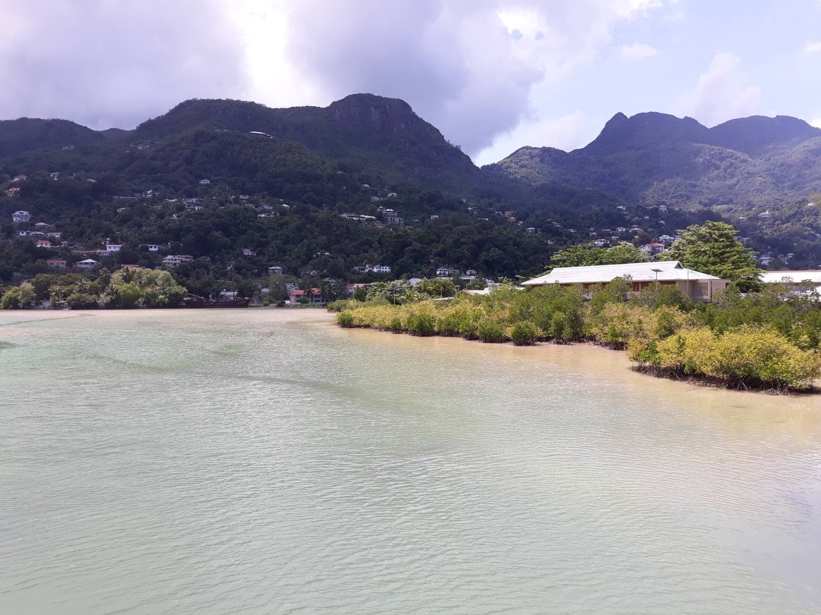 Roche Caiman Wetland - Image 1