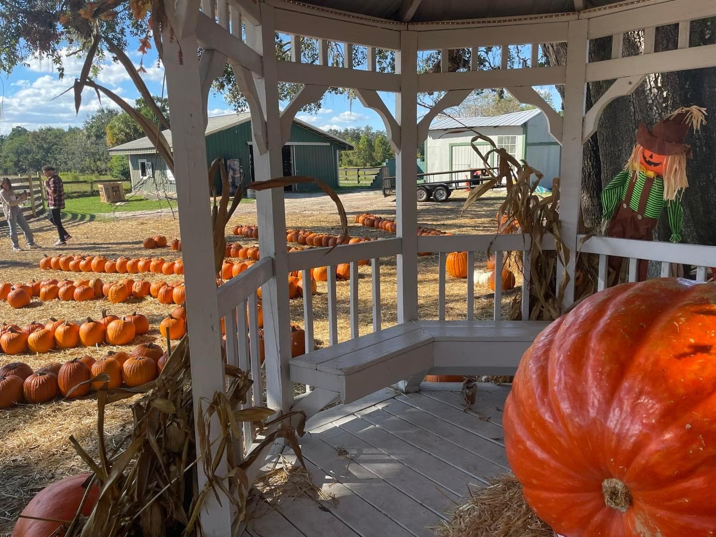 Painted Oaks Academy - Image 1