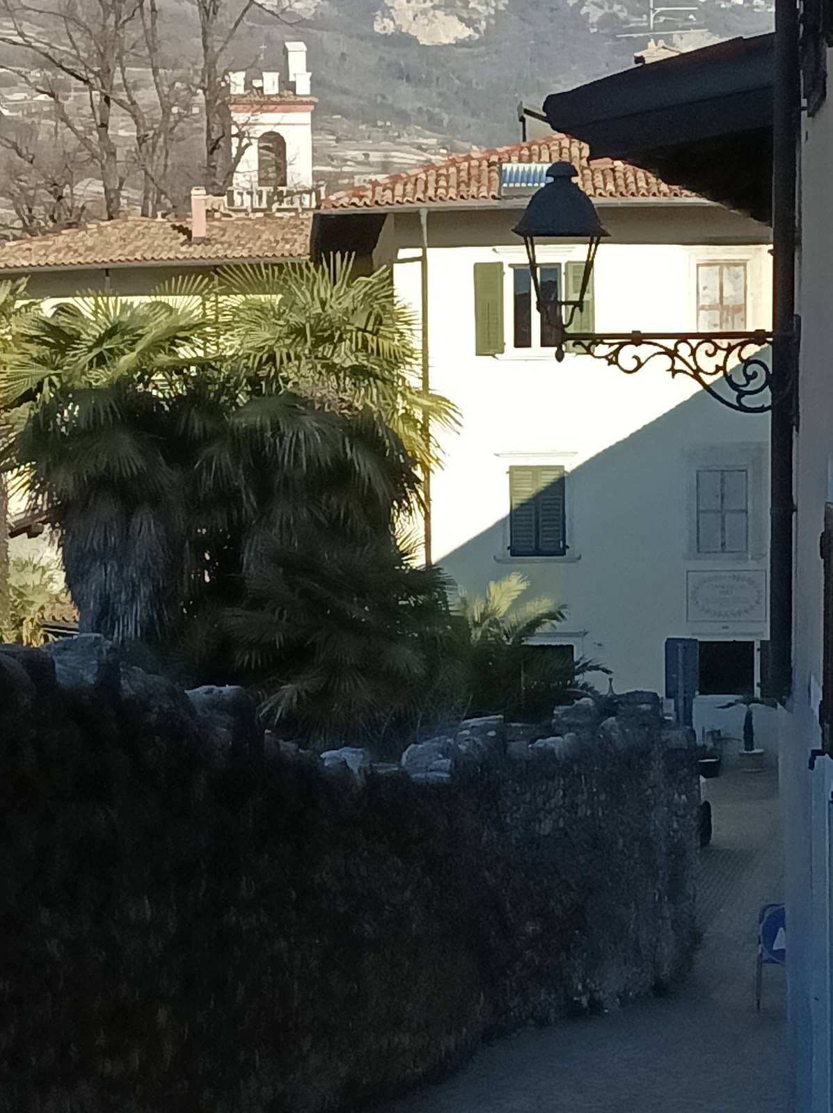 Vertical photo