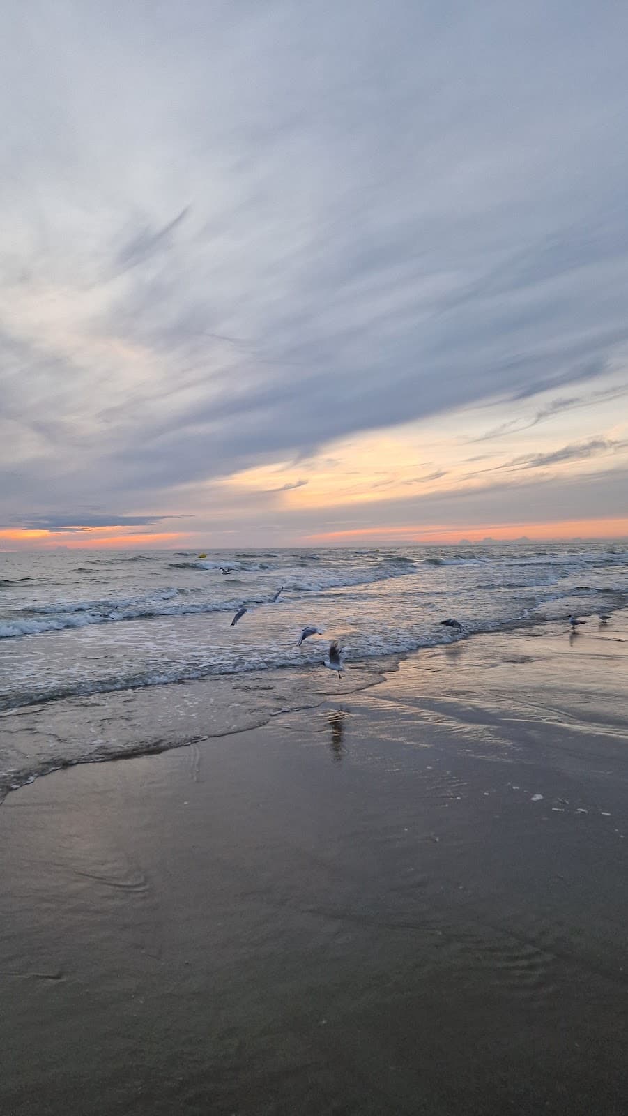 Stella-Plage Dunes - Image 1