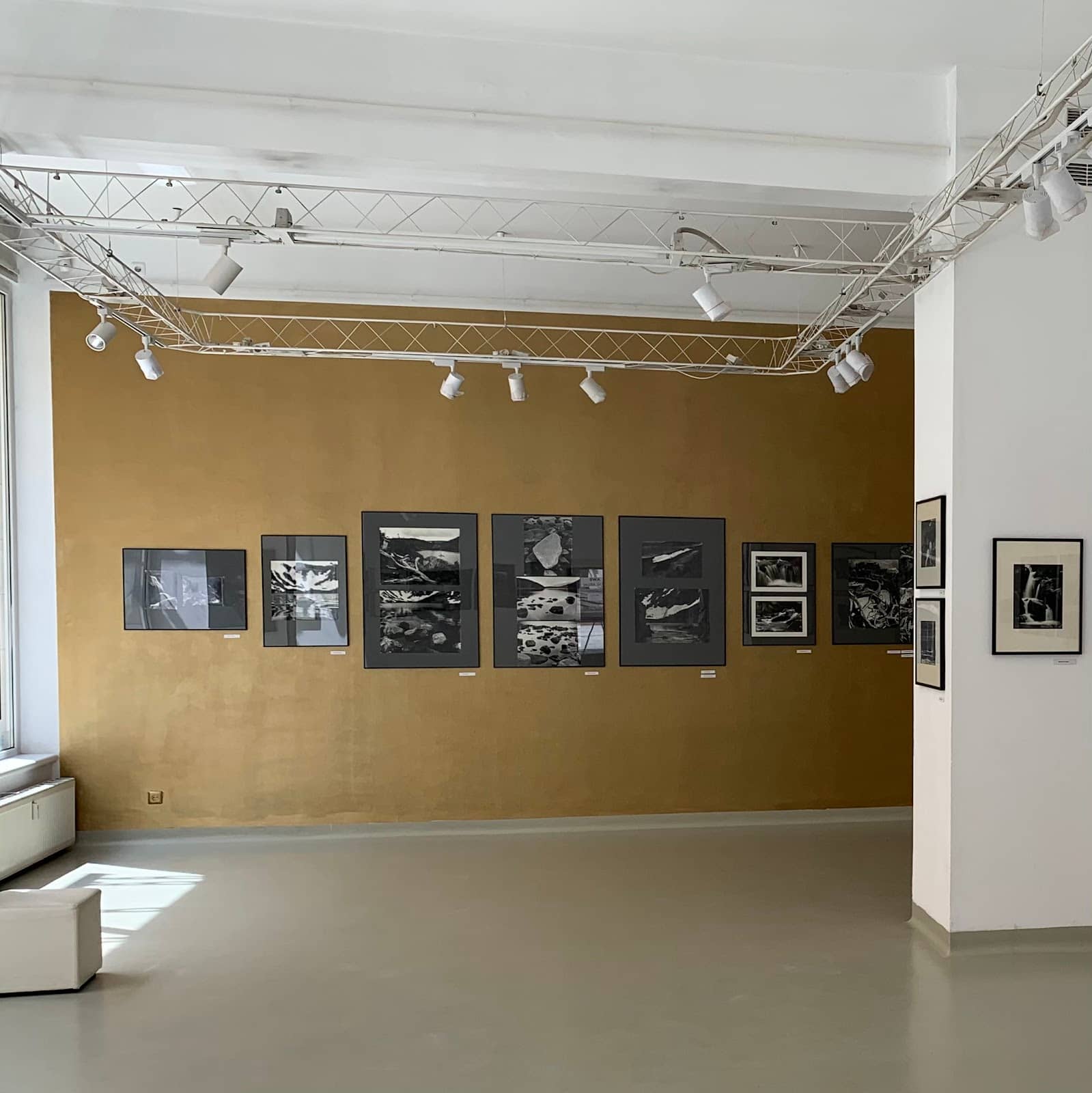 Regional Artist Showcases