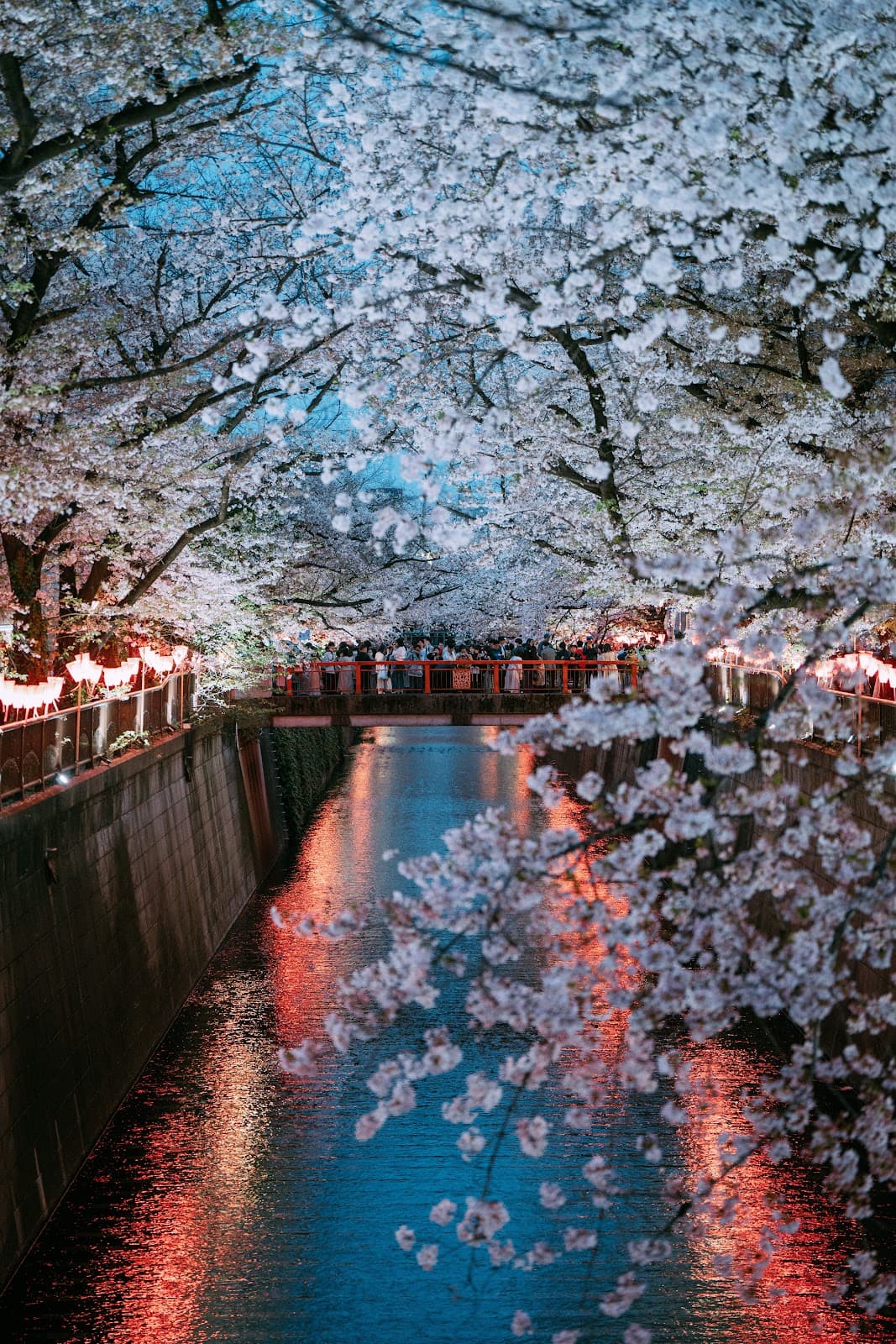 Meguro River Tokyo - Image 1