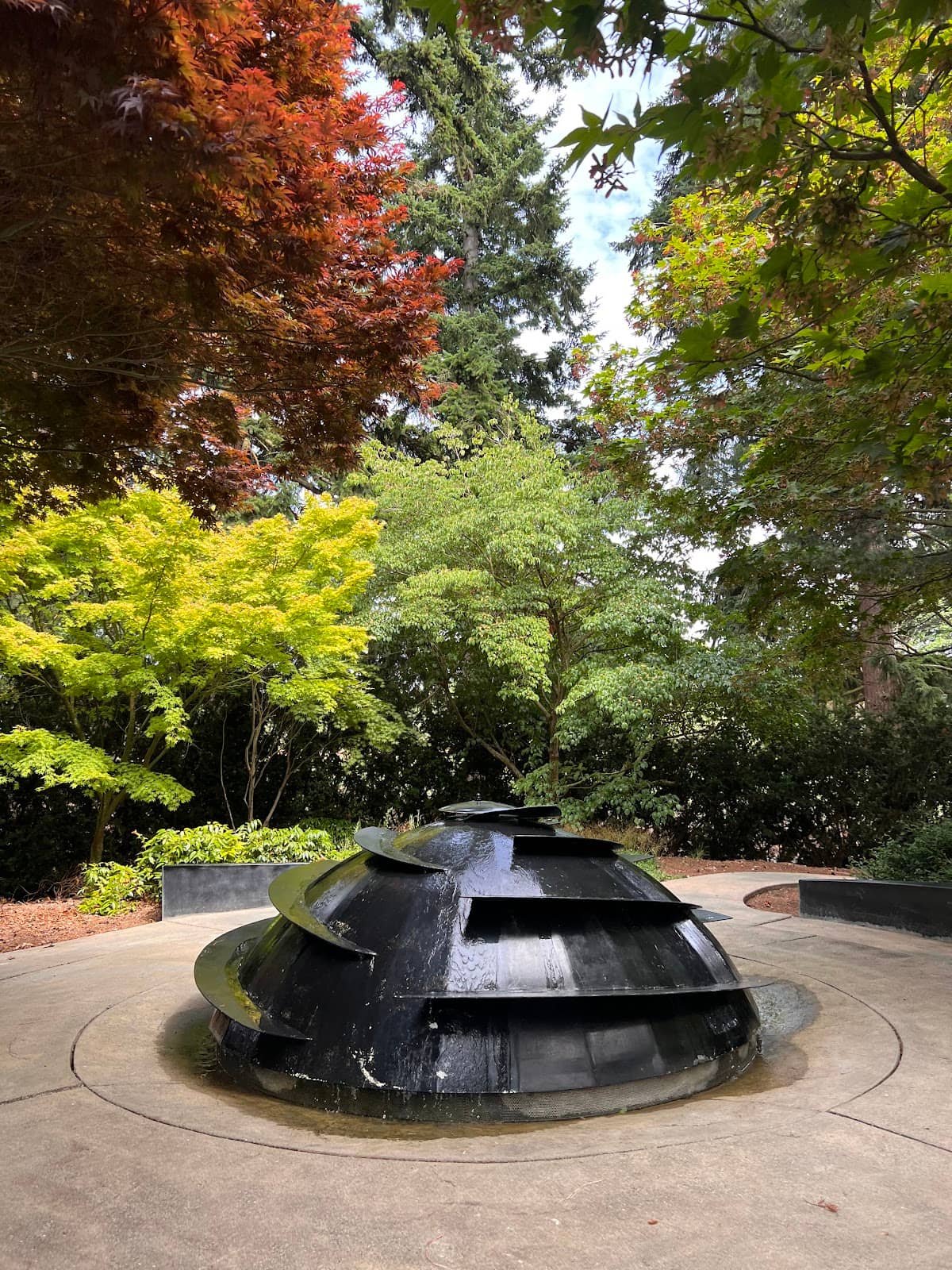 Japanese Maple Grove