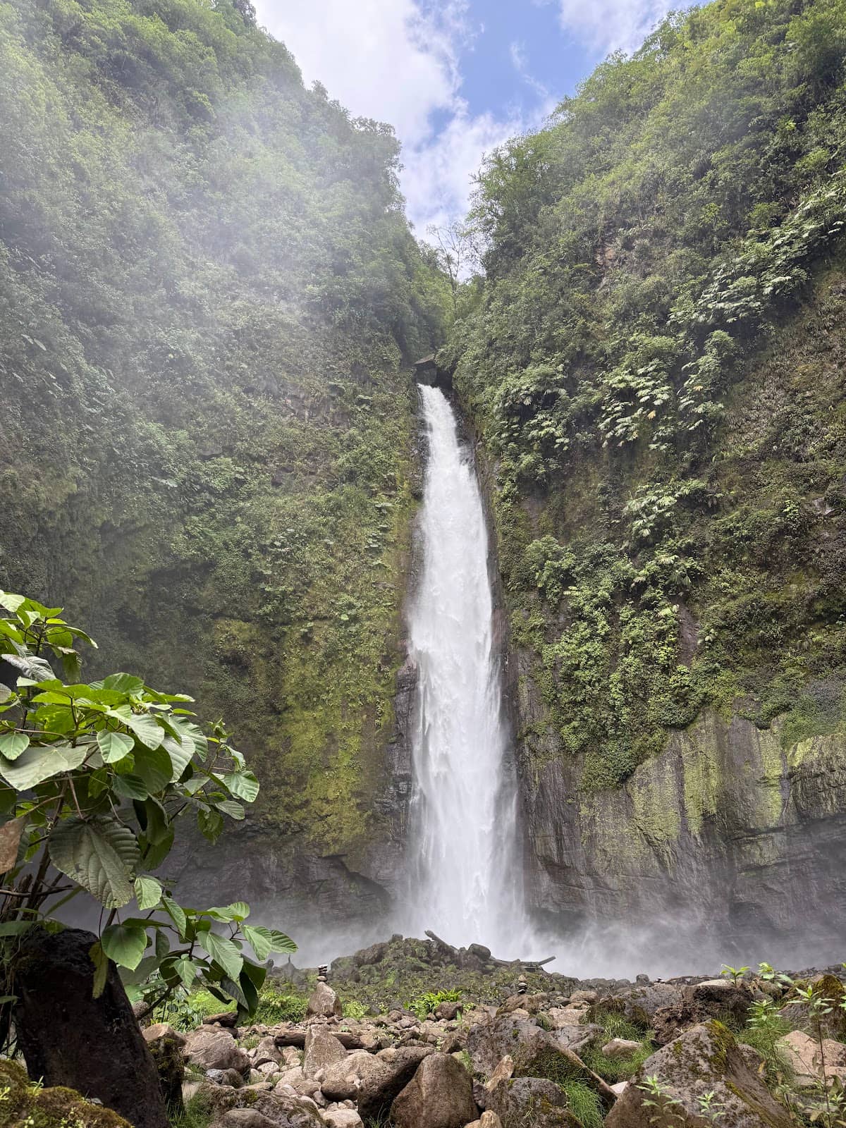 Cinchona Mountains Scenery