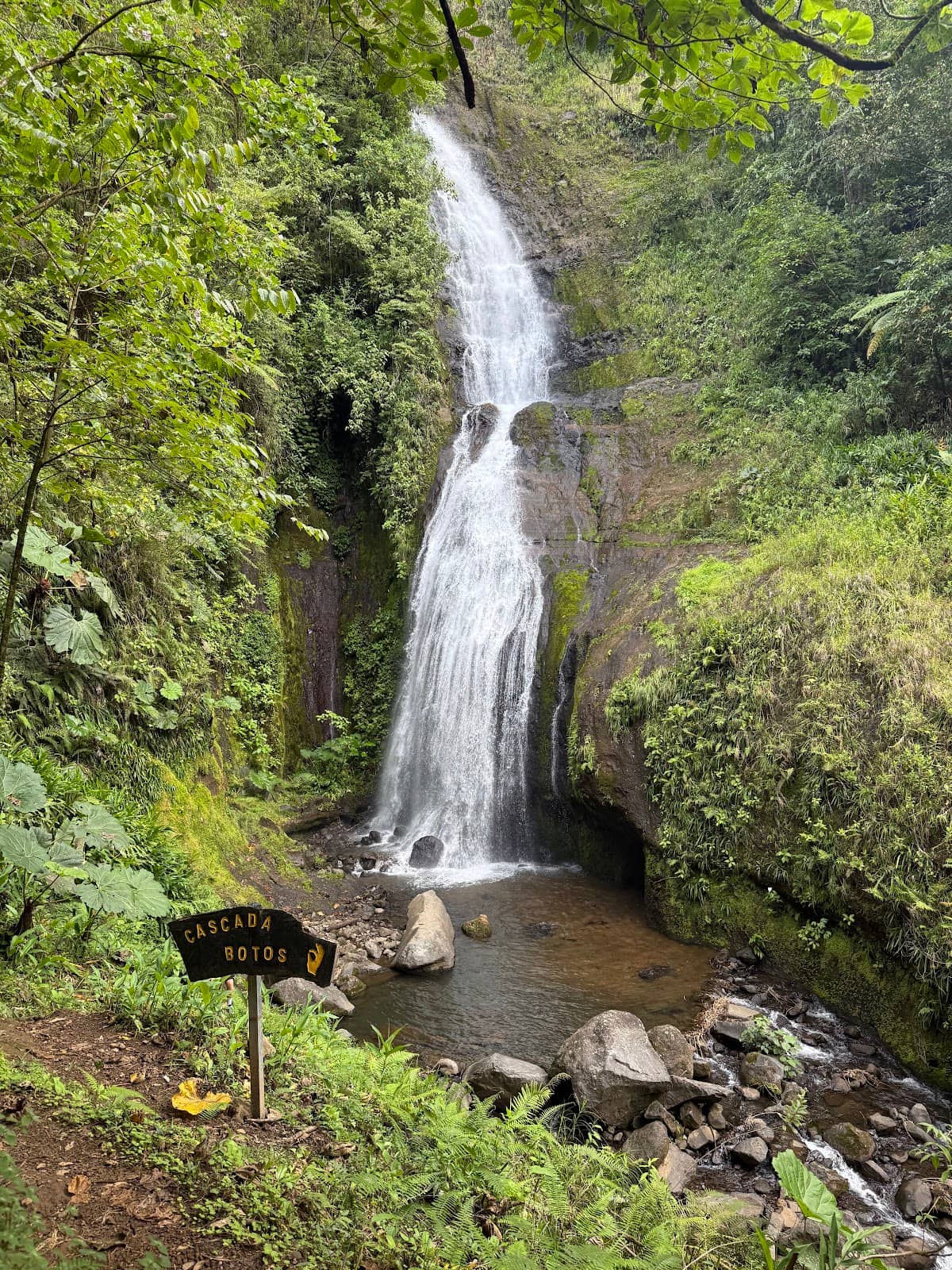 Vertical photo