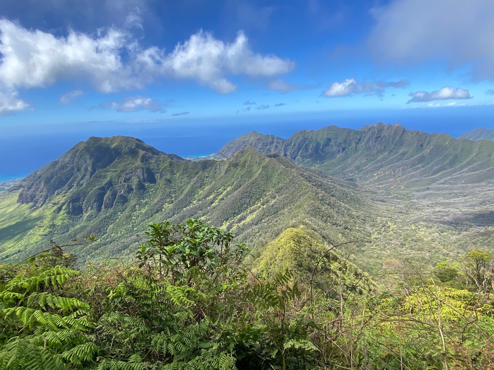 Mount Ka'ala - Image 1